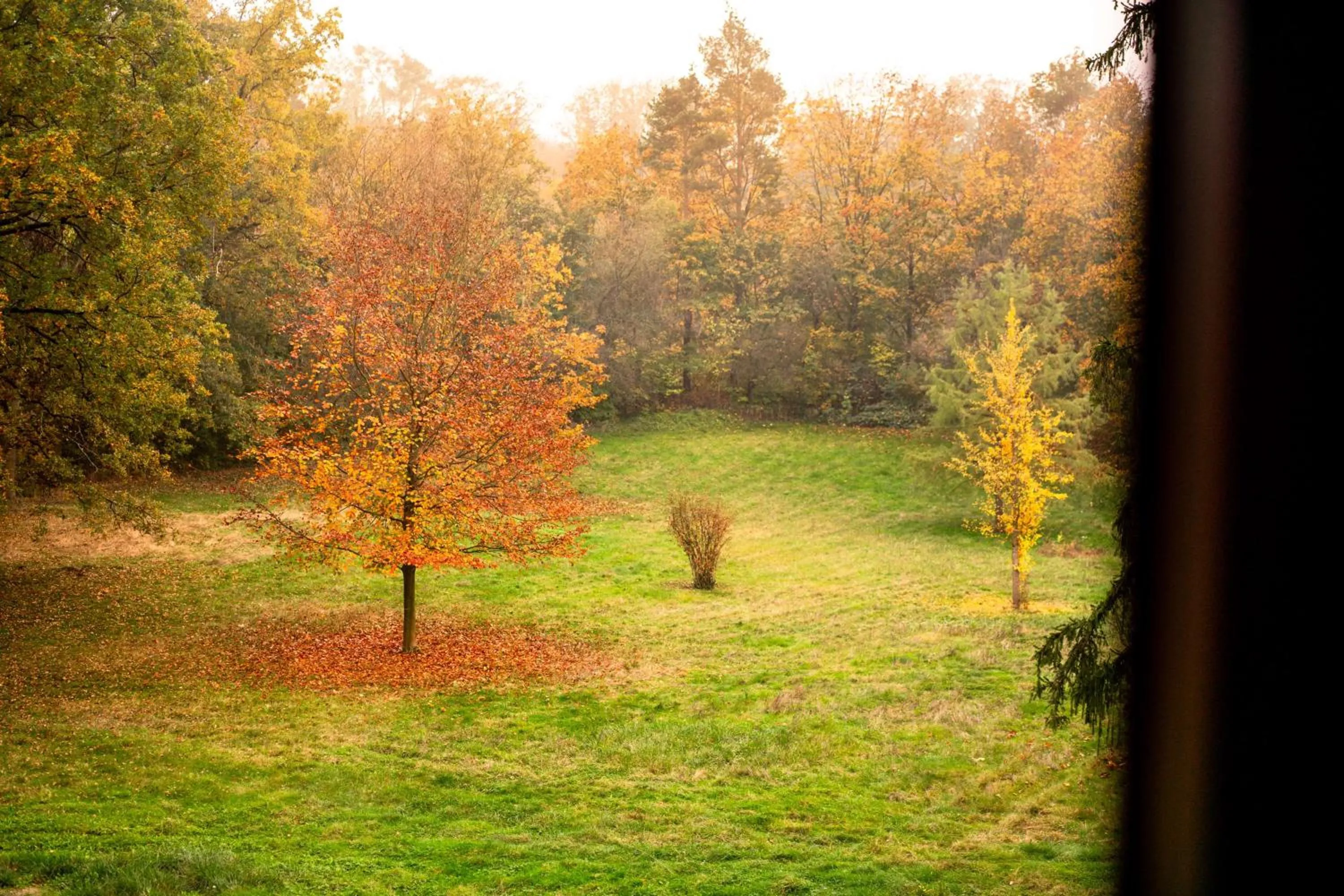 View (from property/room) in Hilton Frankfurt Gravenbruch