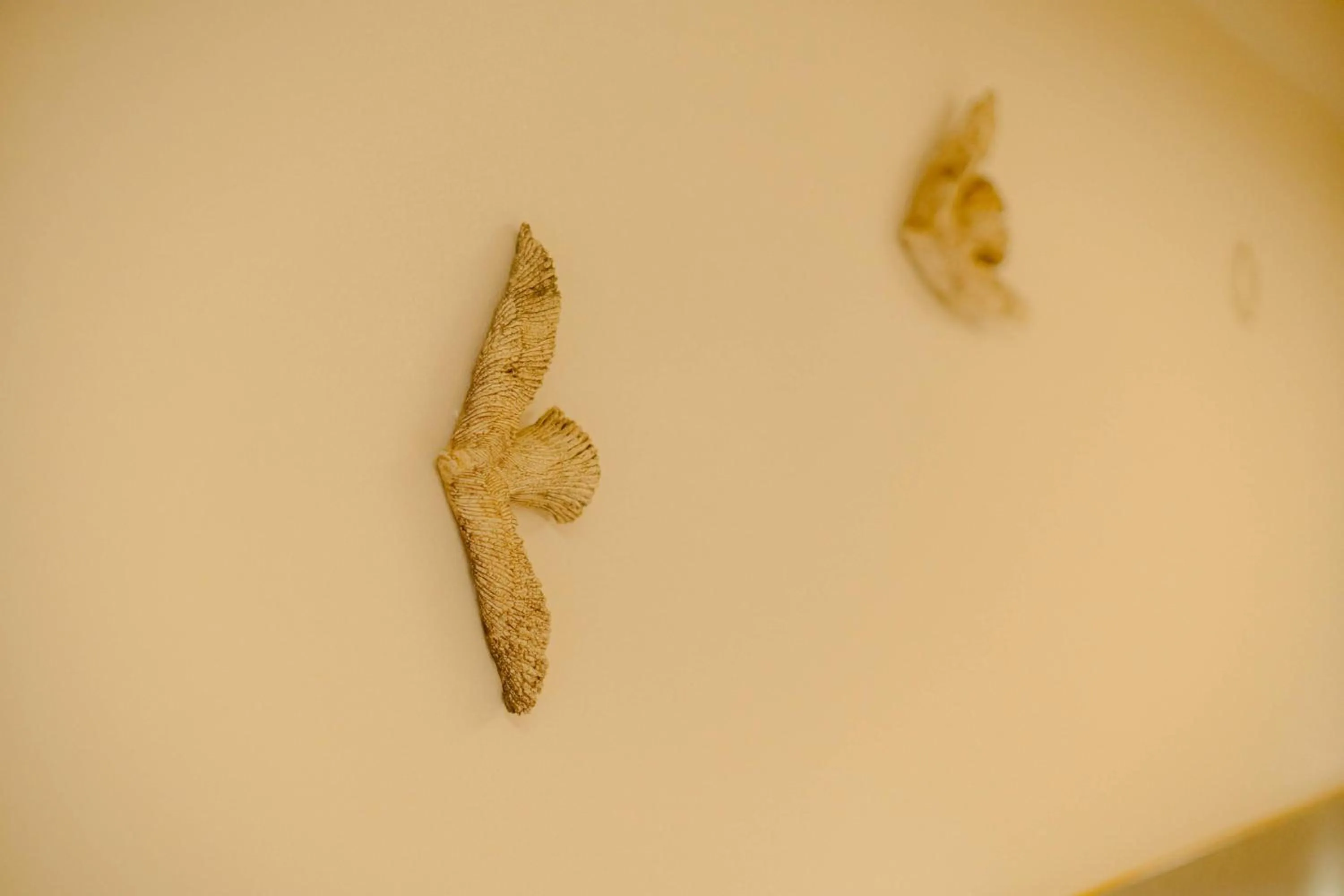 Decorative detail in so, KANAZAWA