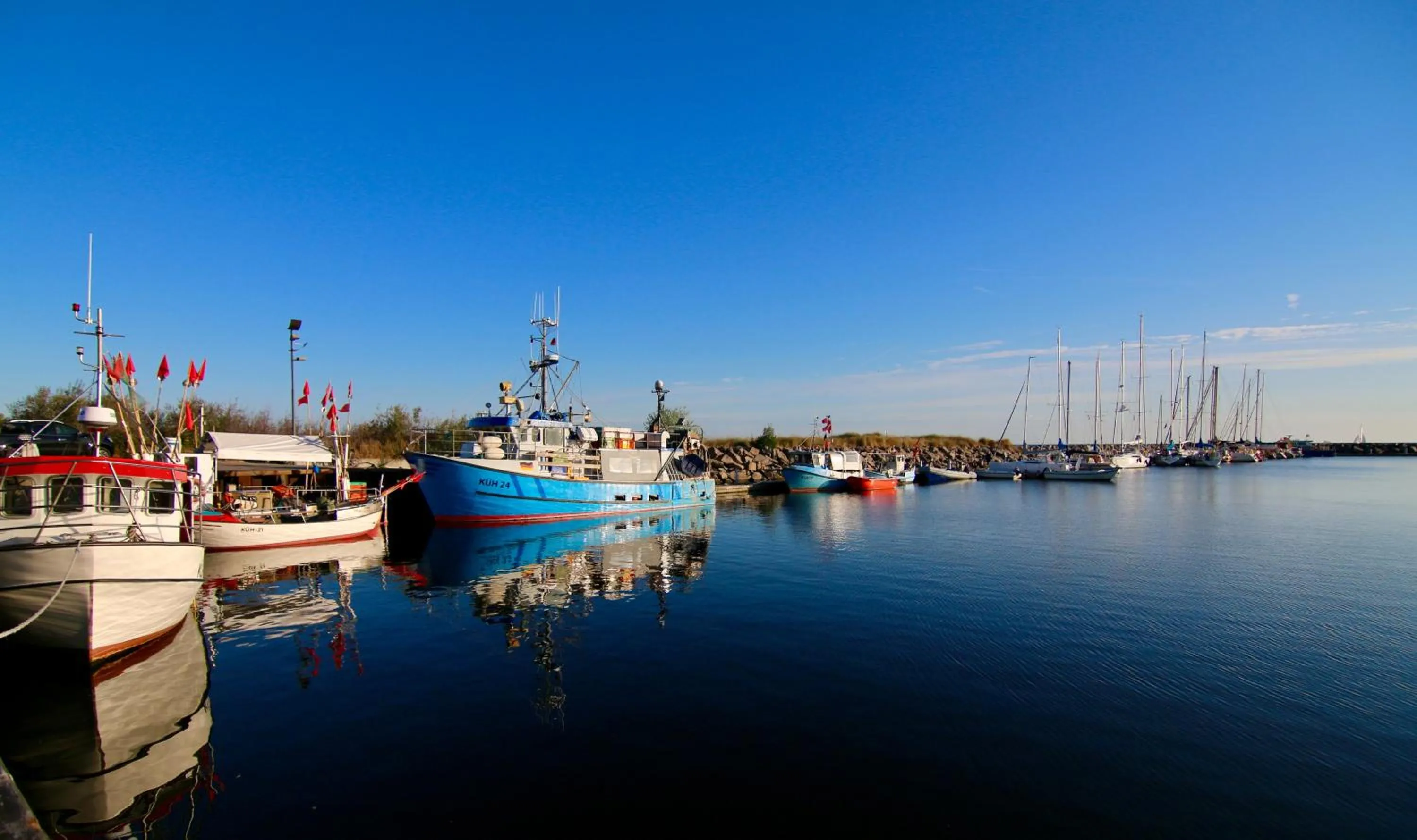 Area and facilities in Morada Hotel Arendsee