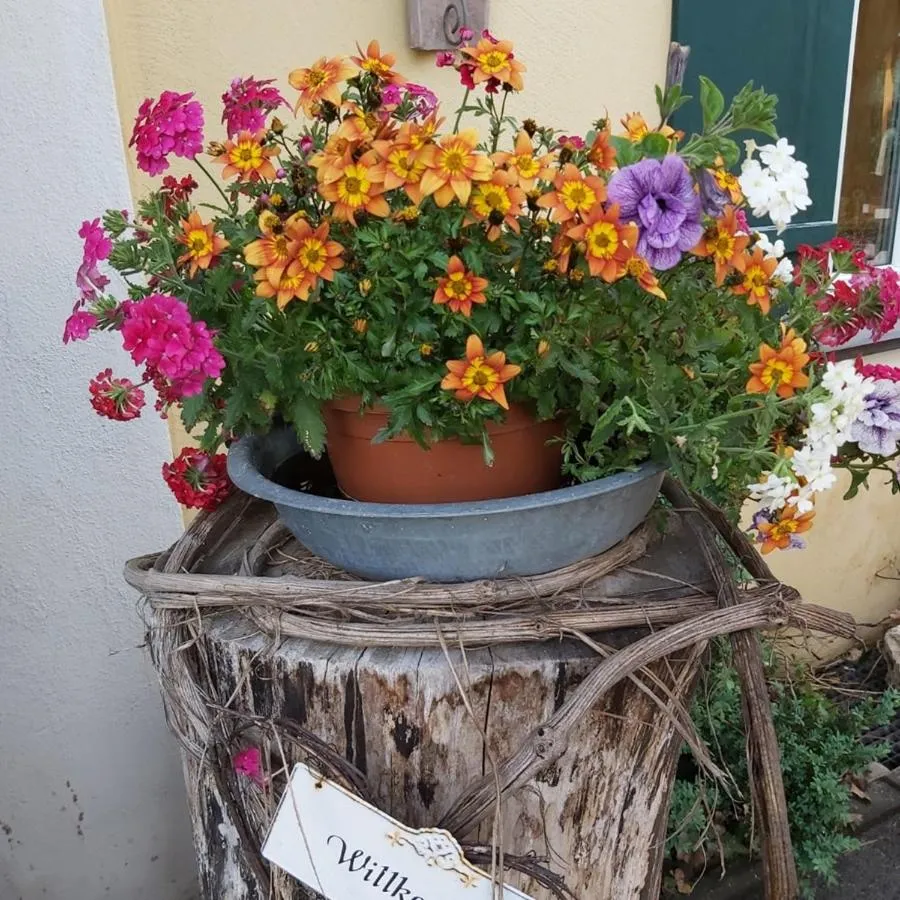 Property building in Landhotel zum Böhm