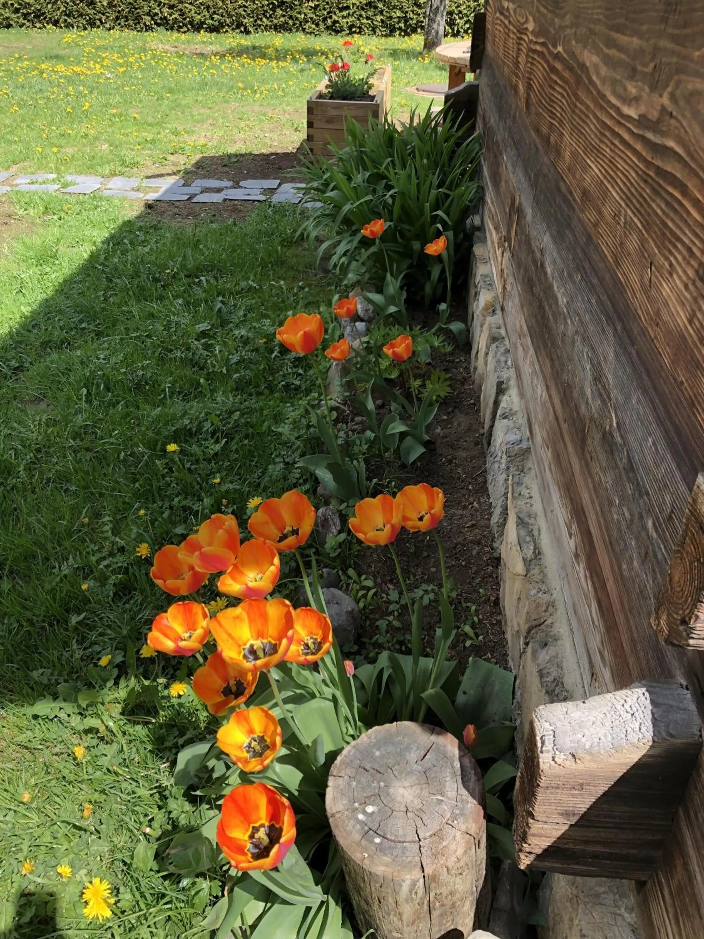 Garden in Chalet sur les monts Morzine