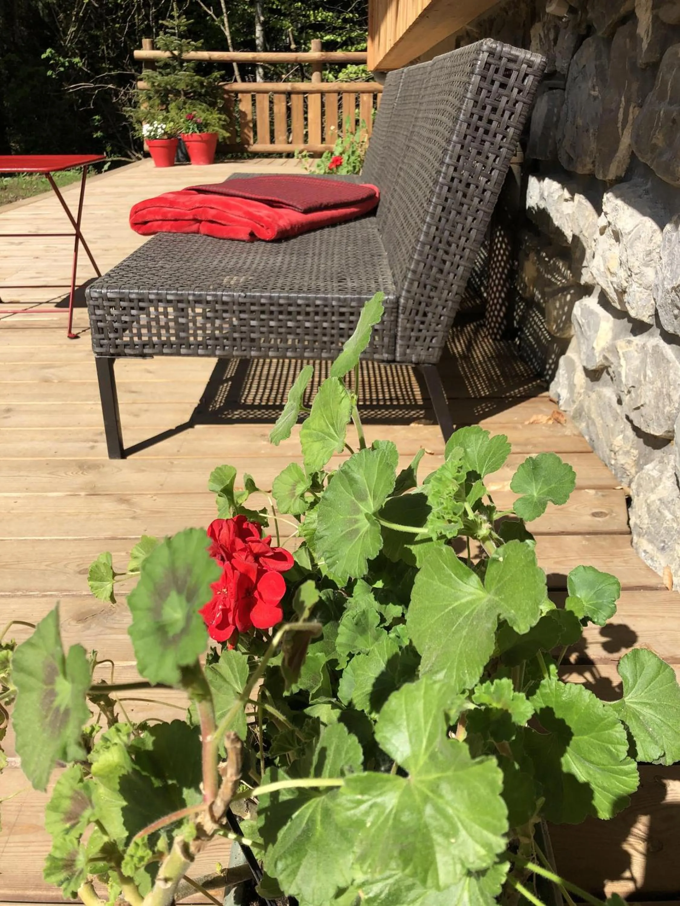 Garden in Chalet sur les monts Morzine