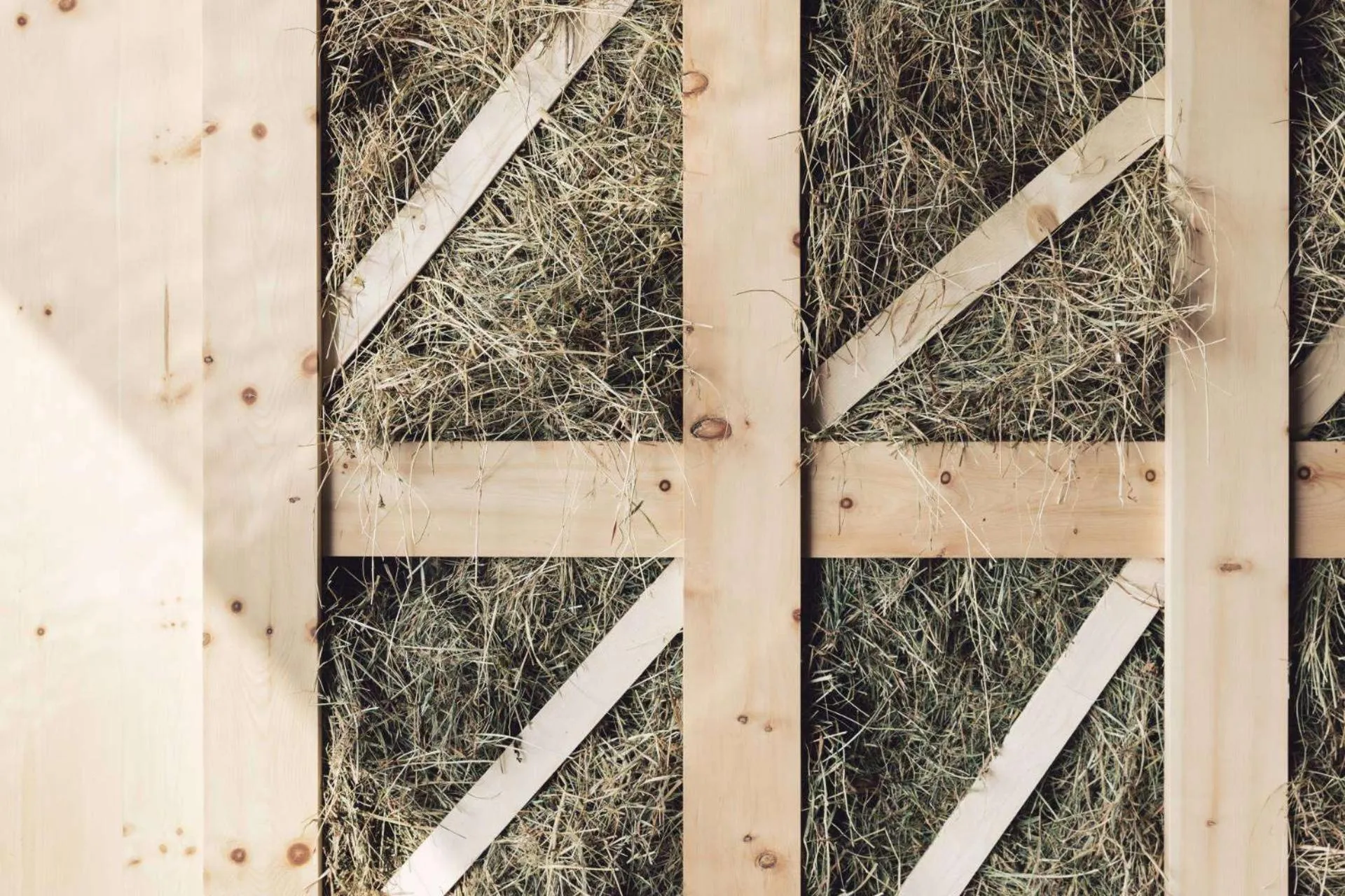 Spa and wellness centre/facilities in Hotel Milla Montis