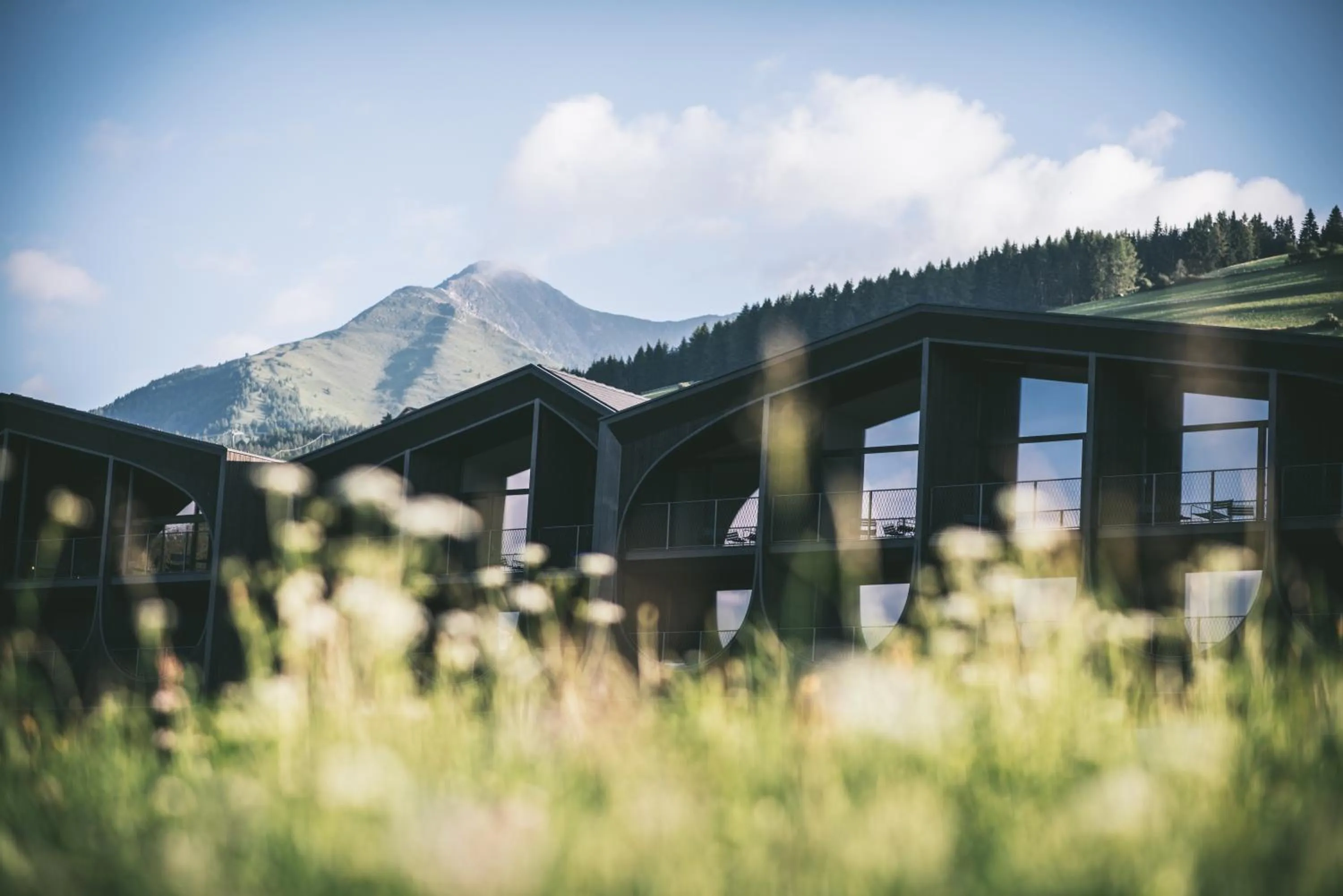 Property building in Hotel Milla Montis