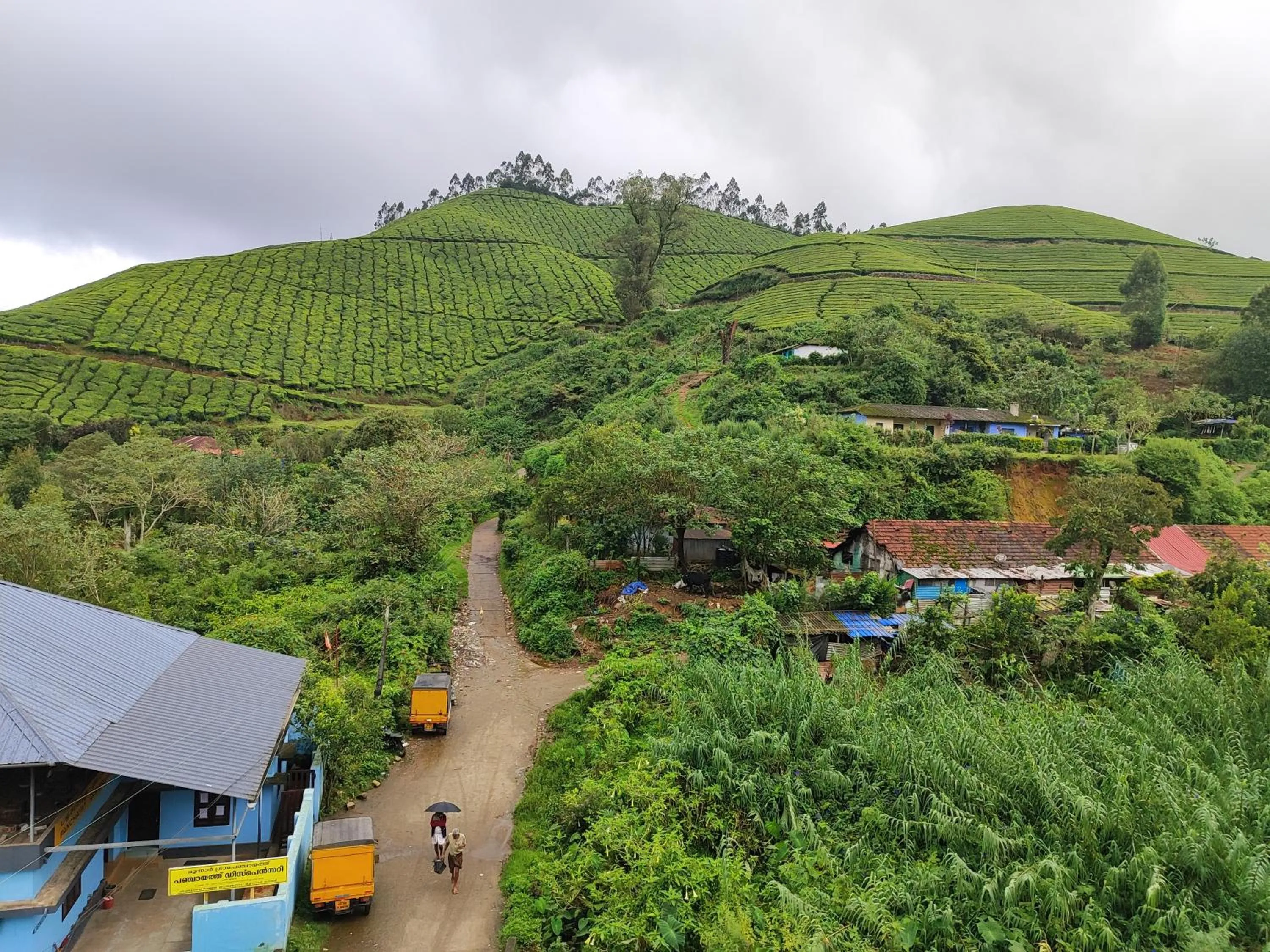Munnar Days