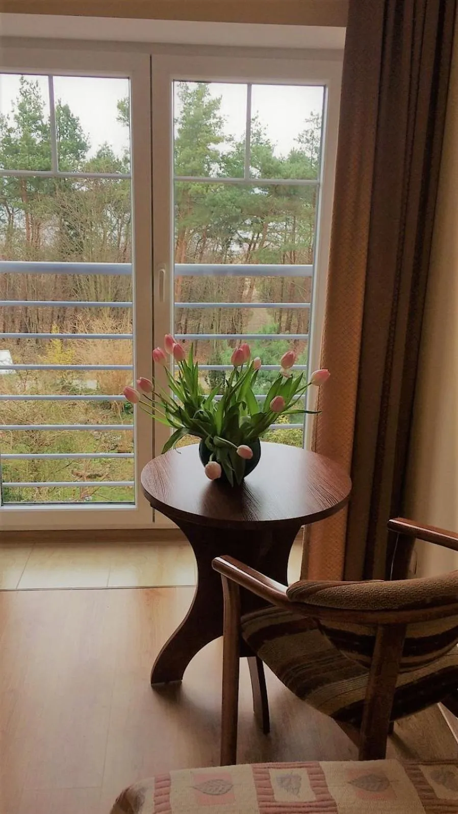 Garden view in Willa Solmare