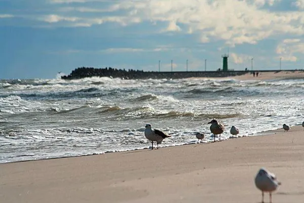 Beach in Willa Solmare