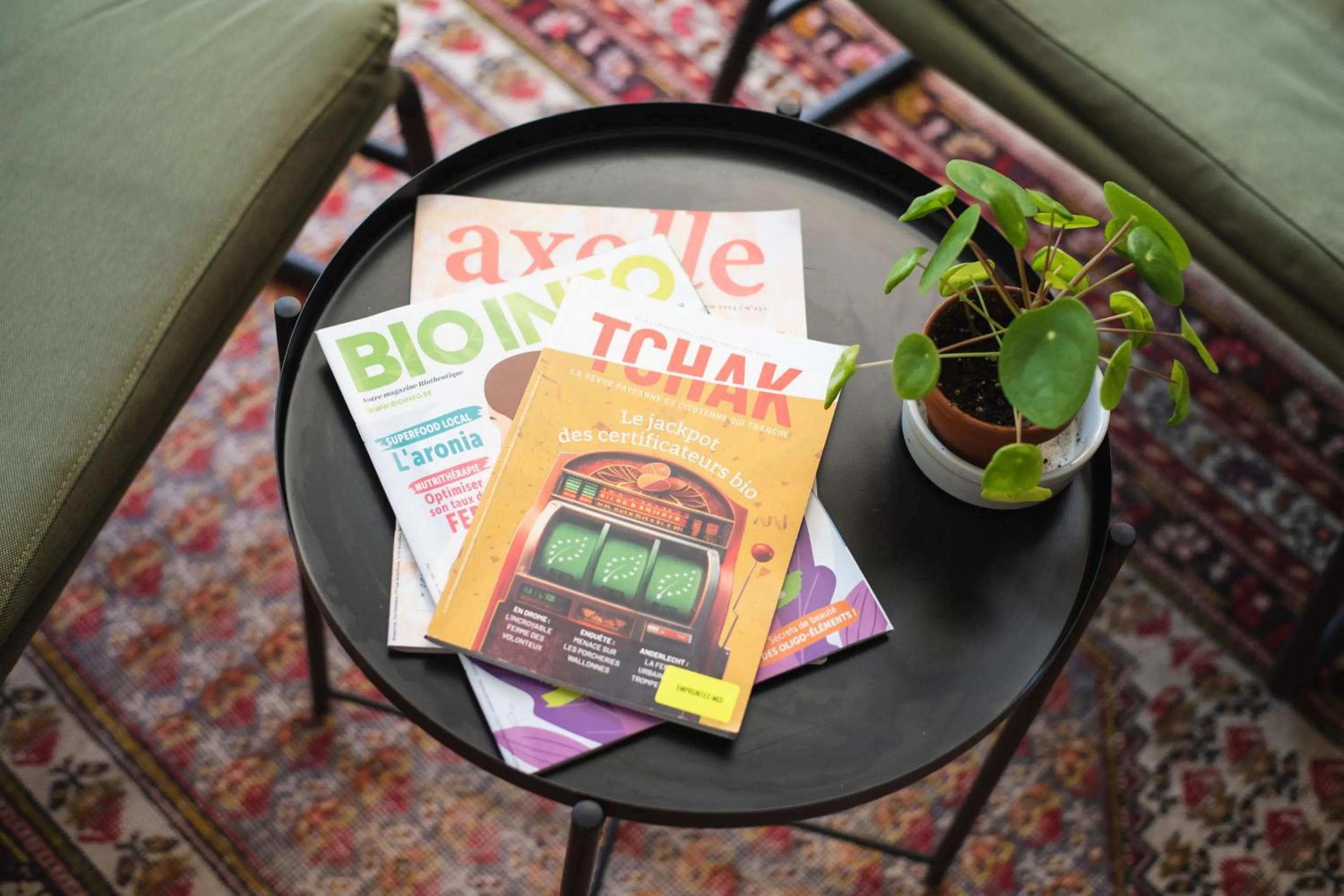 Text overlay in Gîte Mozaïk