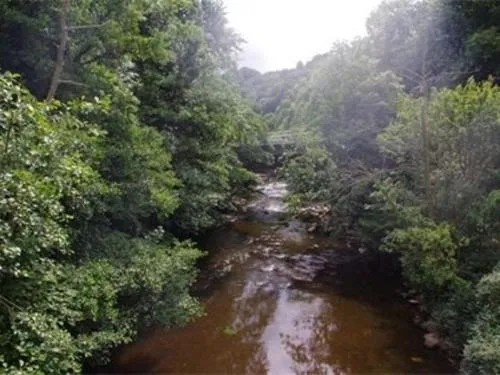 Natural landscape in Arncliffe Arms