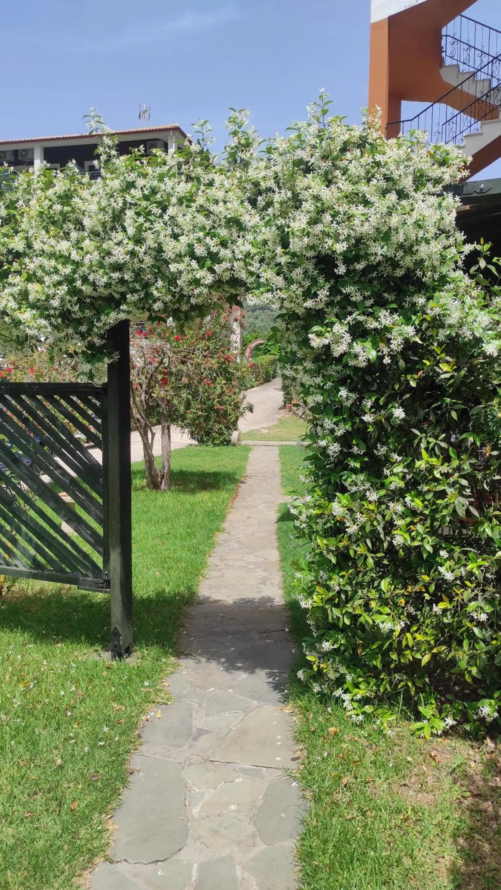 Garden in Donatos Apartments & Studios