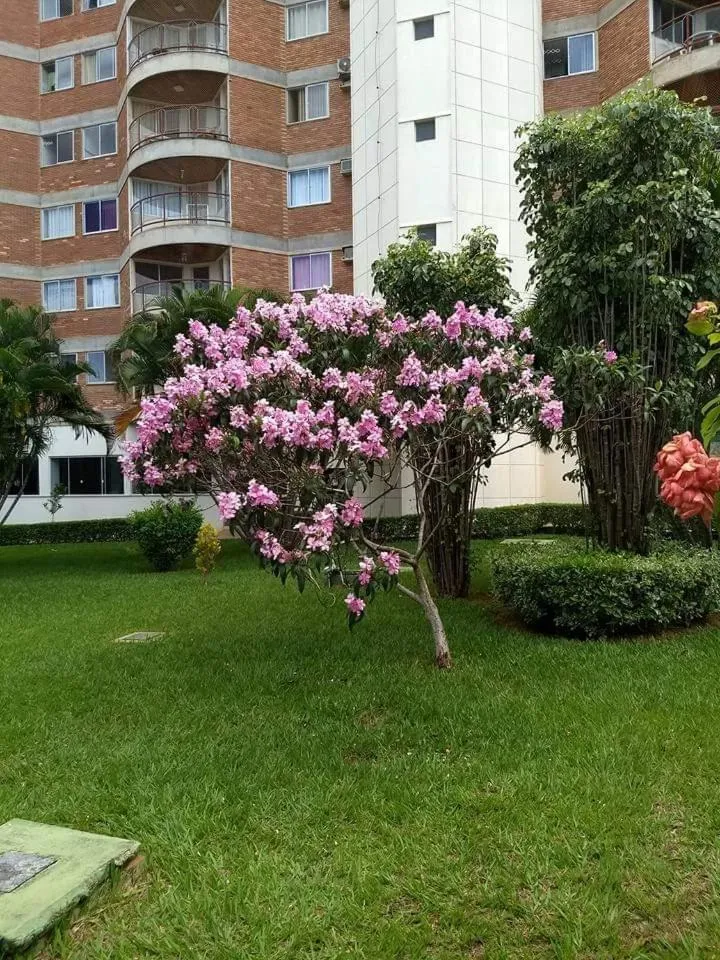 Garden in Apartamento Mundi - Império Romano - Caldas Novas