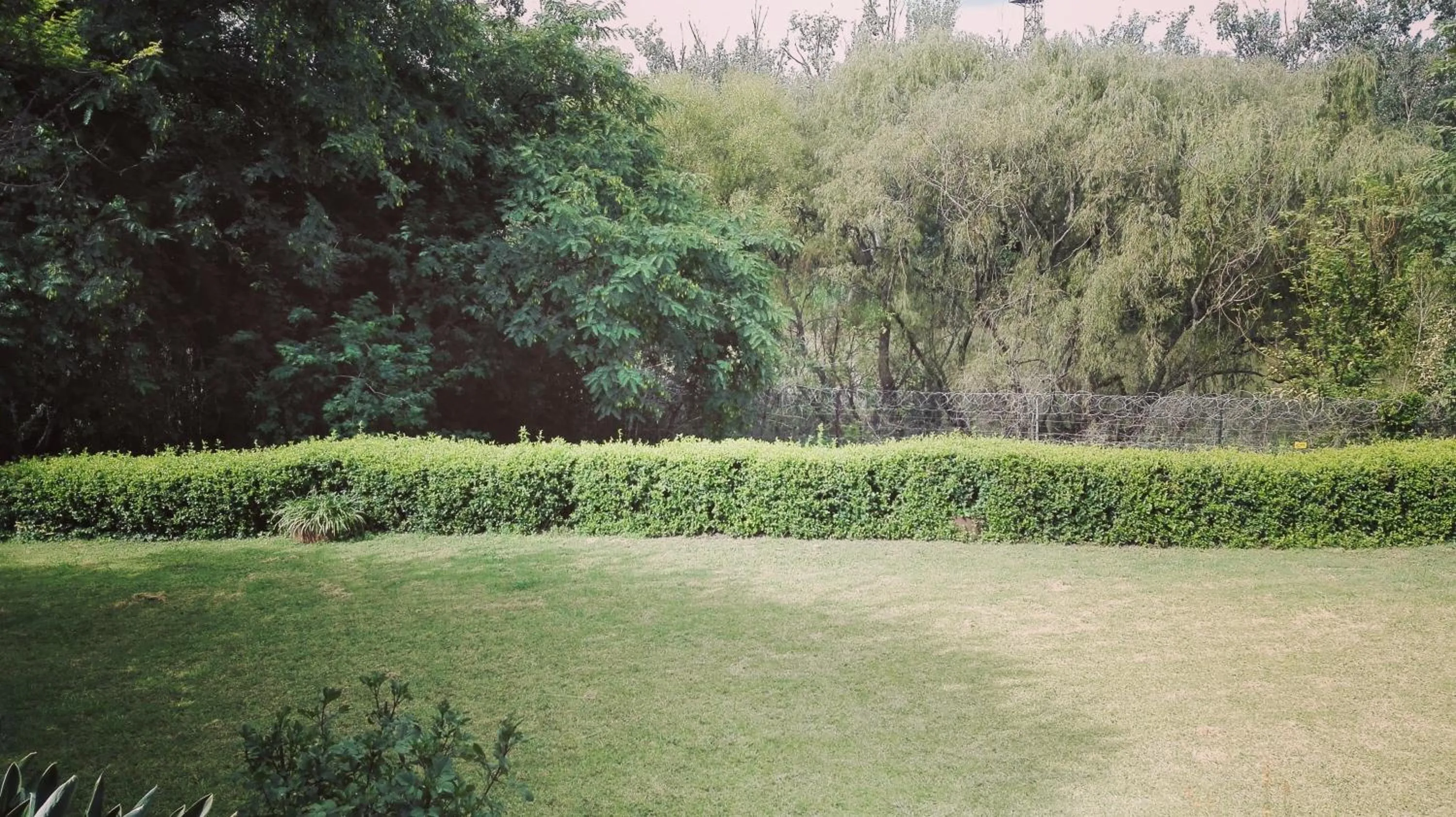 Garden in The Riverhouse Guesthouse