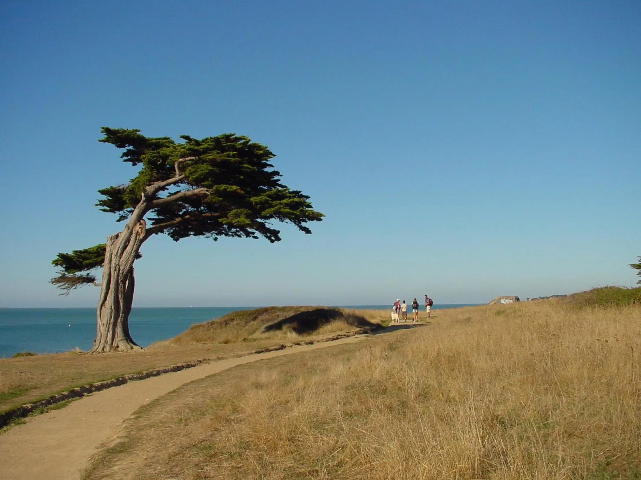 Location in Hôtel Beau Soleil