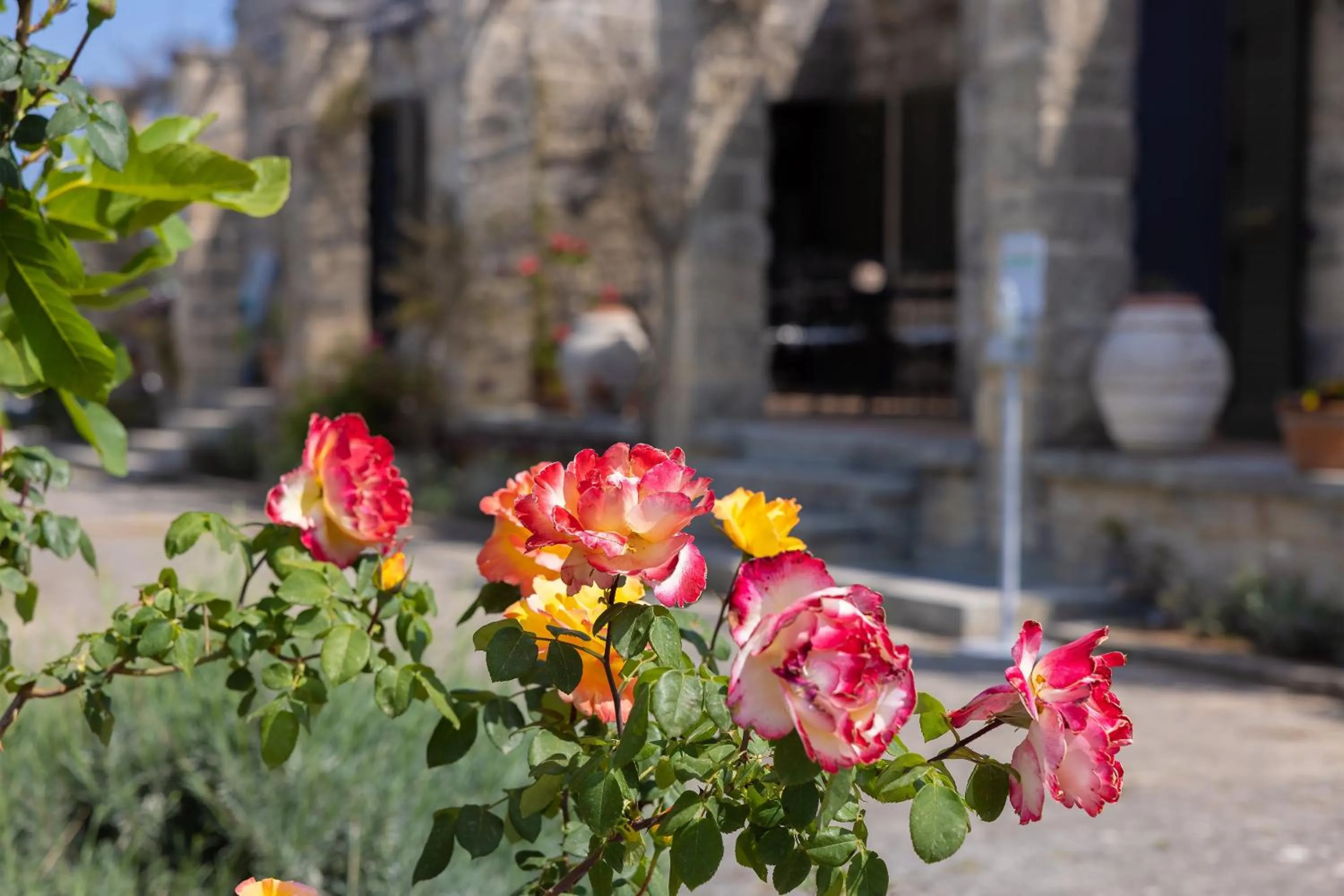 Garden view in Casa Ulmi con piscina