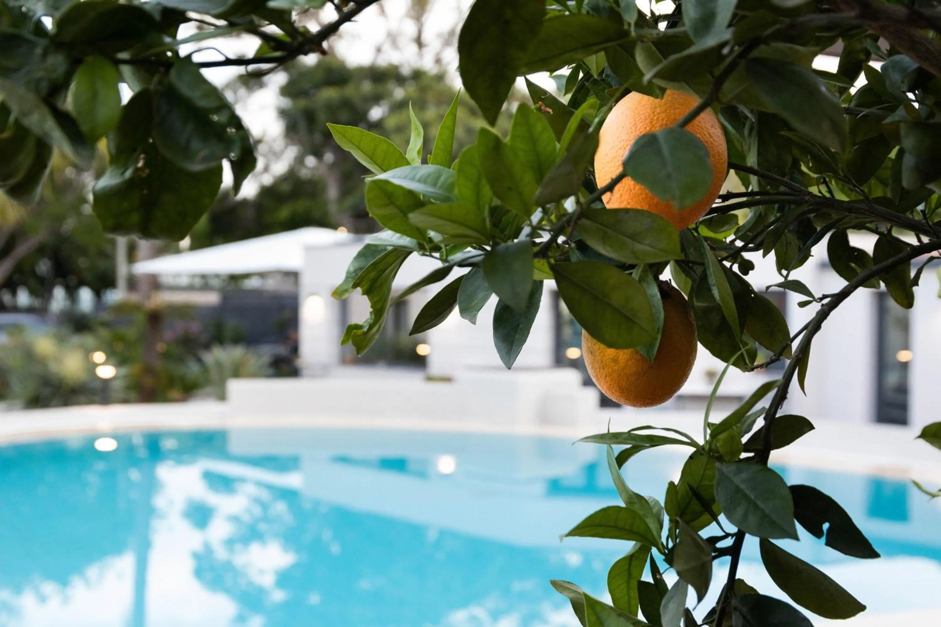 Property building in Villa Masetta - Luxury Suites