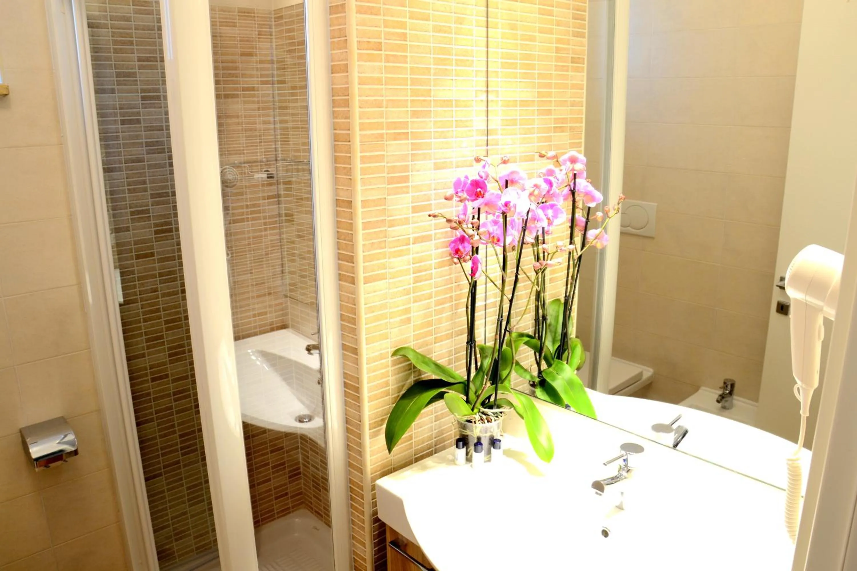 Bathroom in Porto Di Claudio