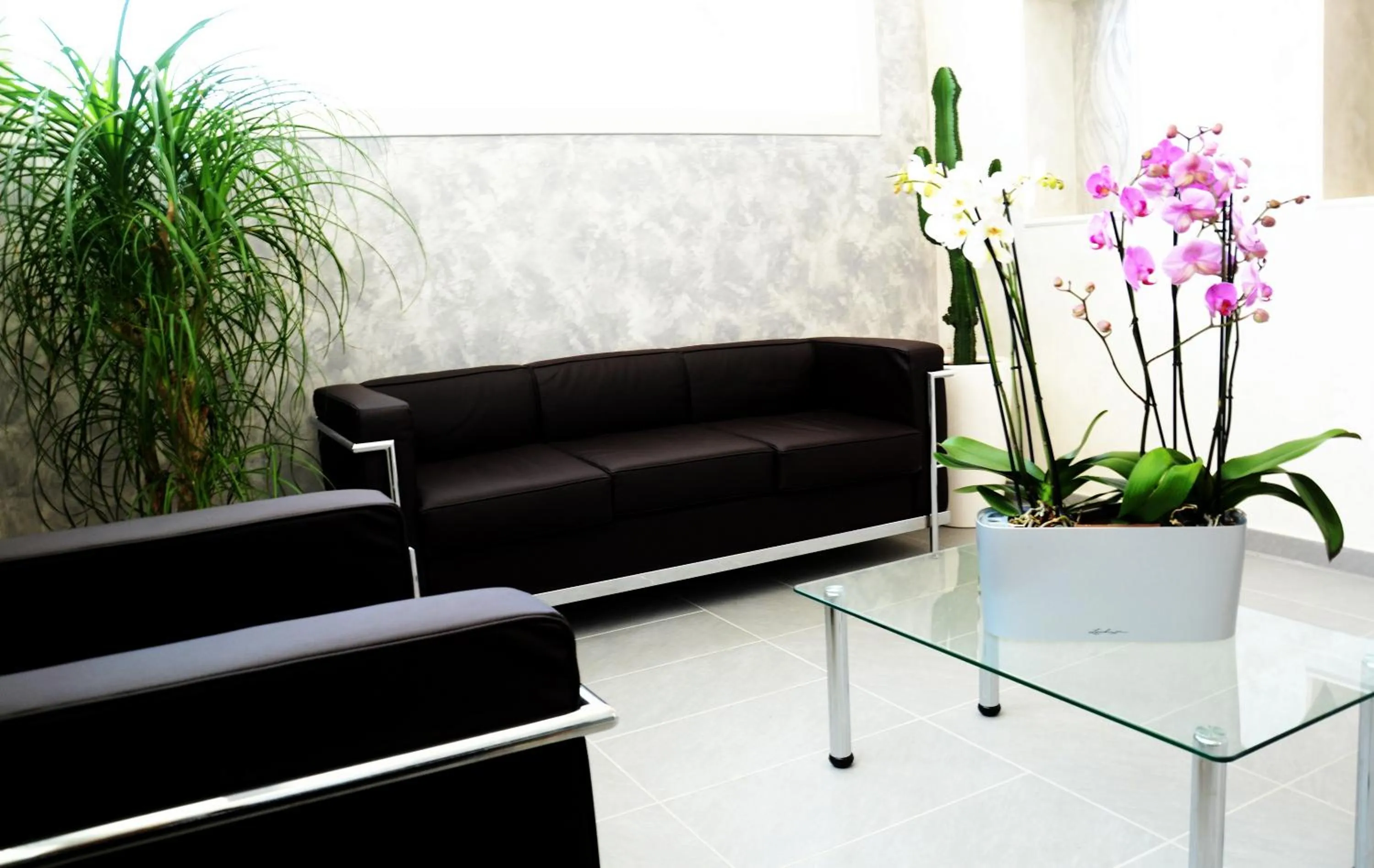 Living room in Porto Di Claudio