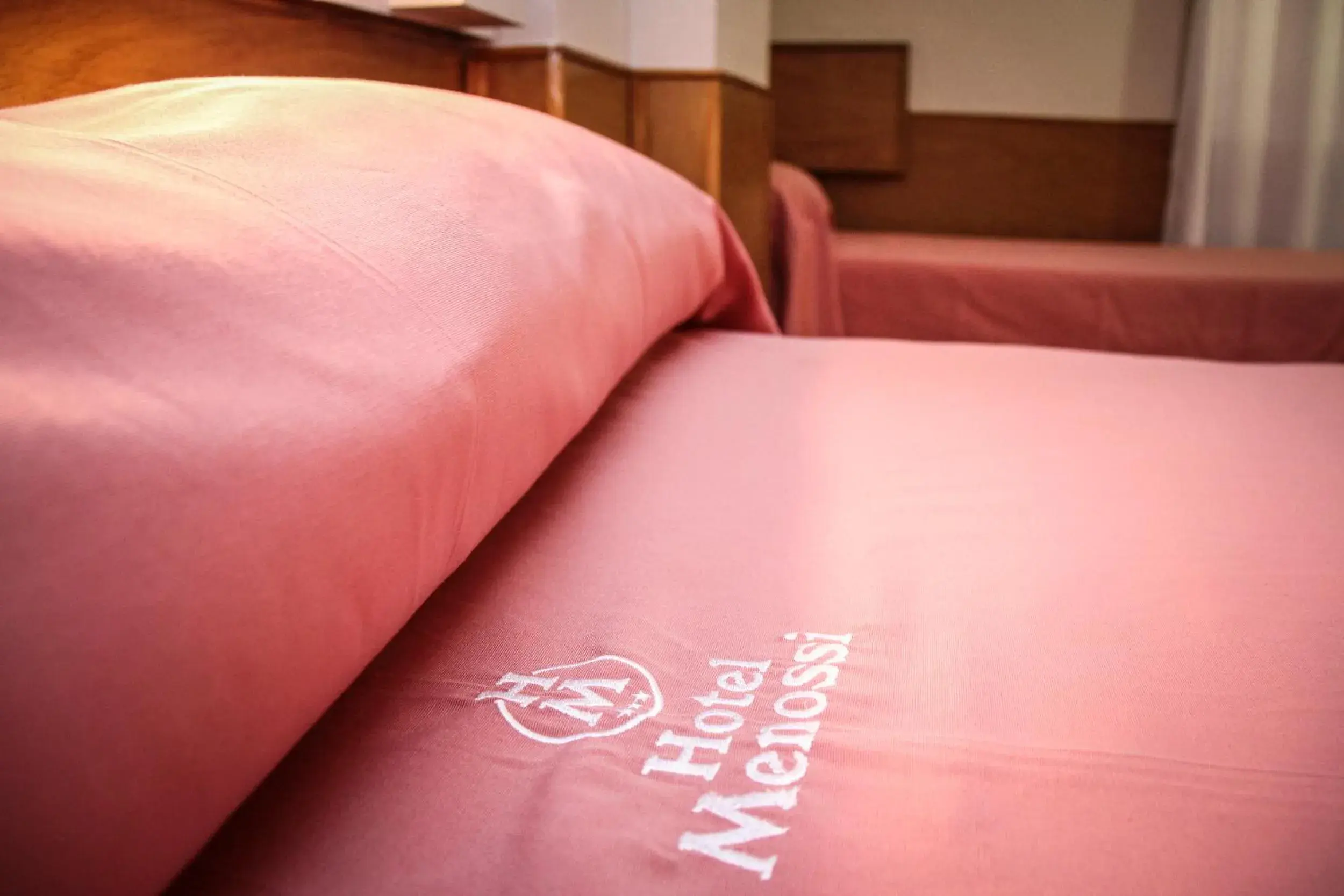 Triple Room in Hotel Menossi Triple Room in Hotel Menossi