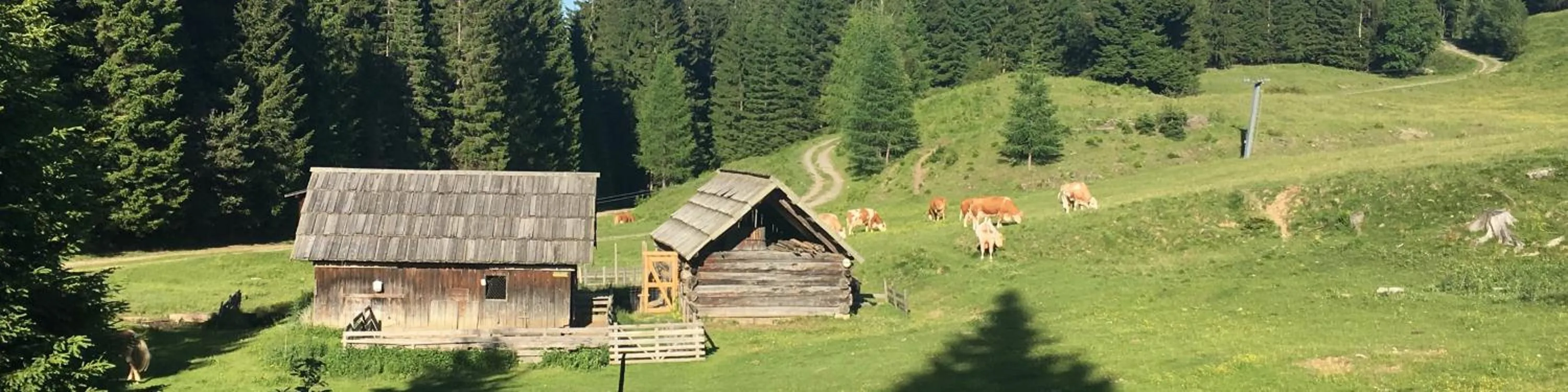 Hiking in Hotel Neusacherhof