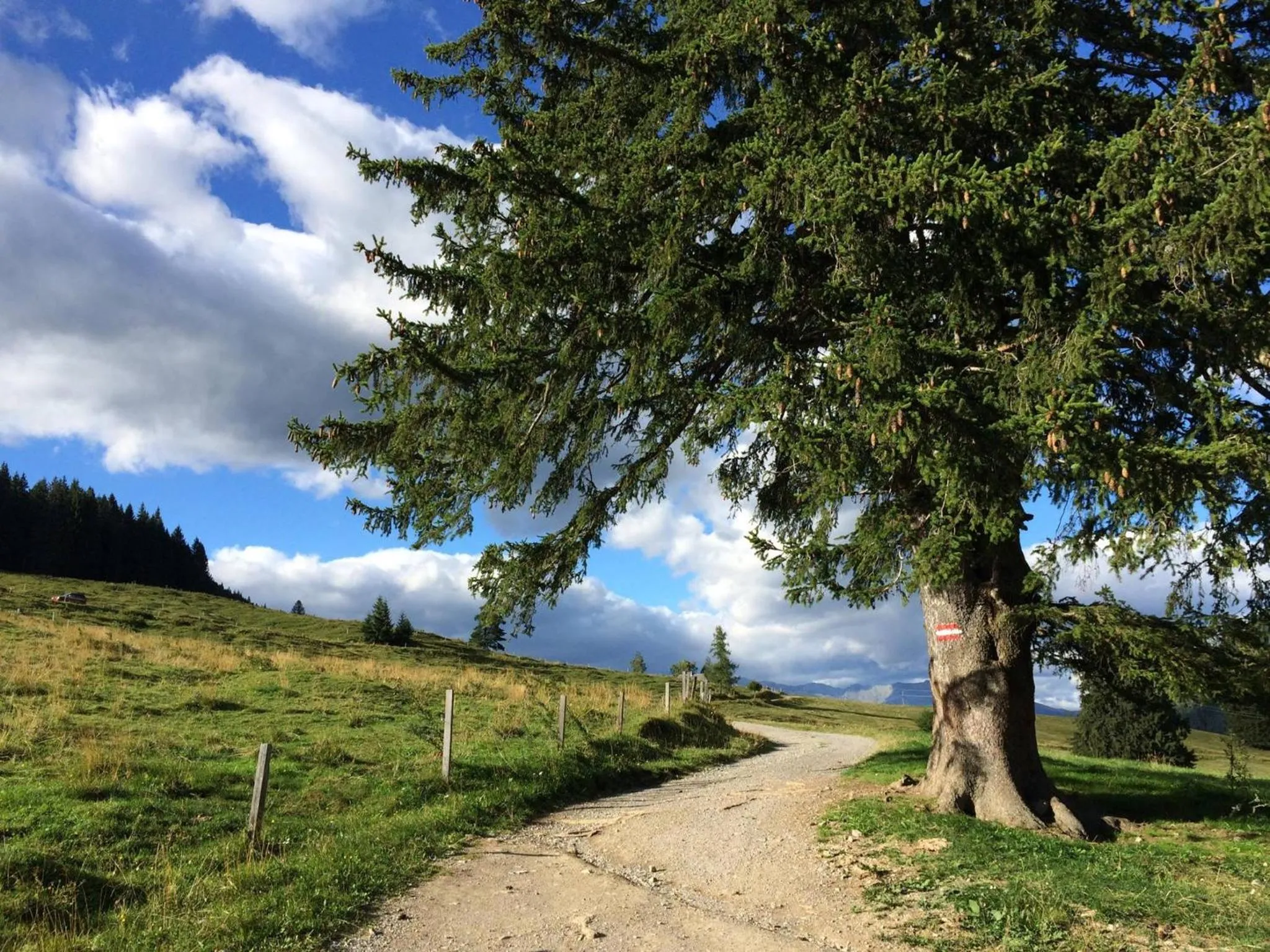 Natural landscape in Hotel Neusacherhof