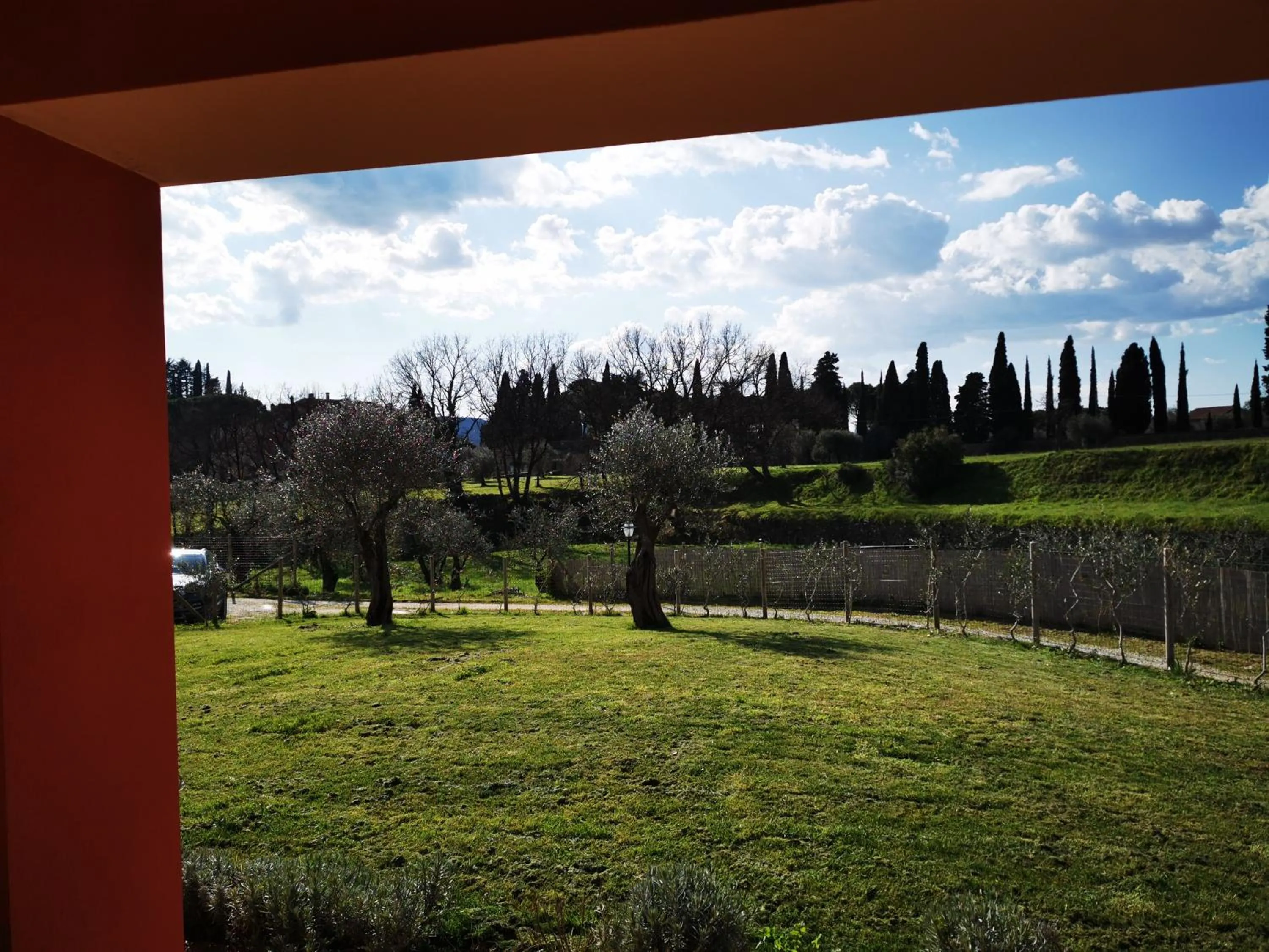 Garden in B&B Luna Nuova