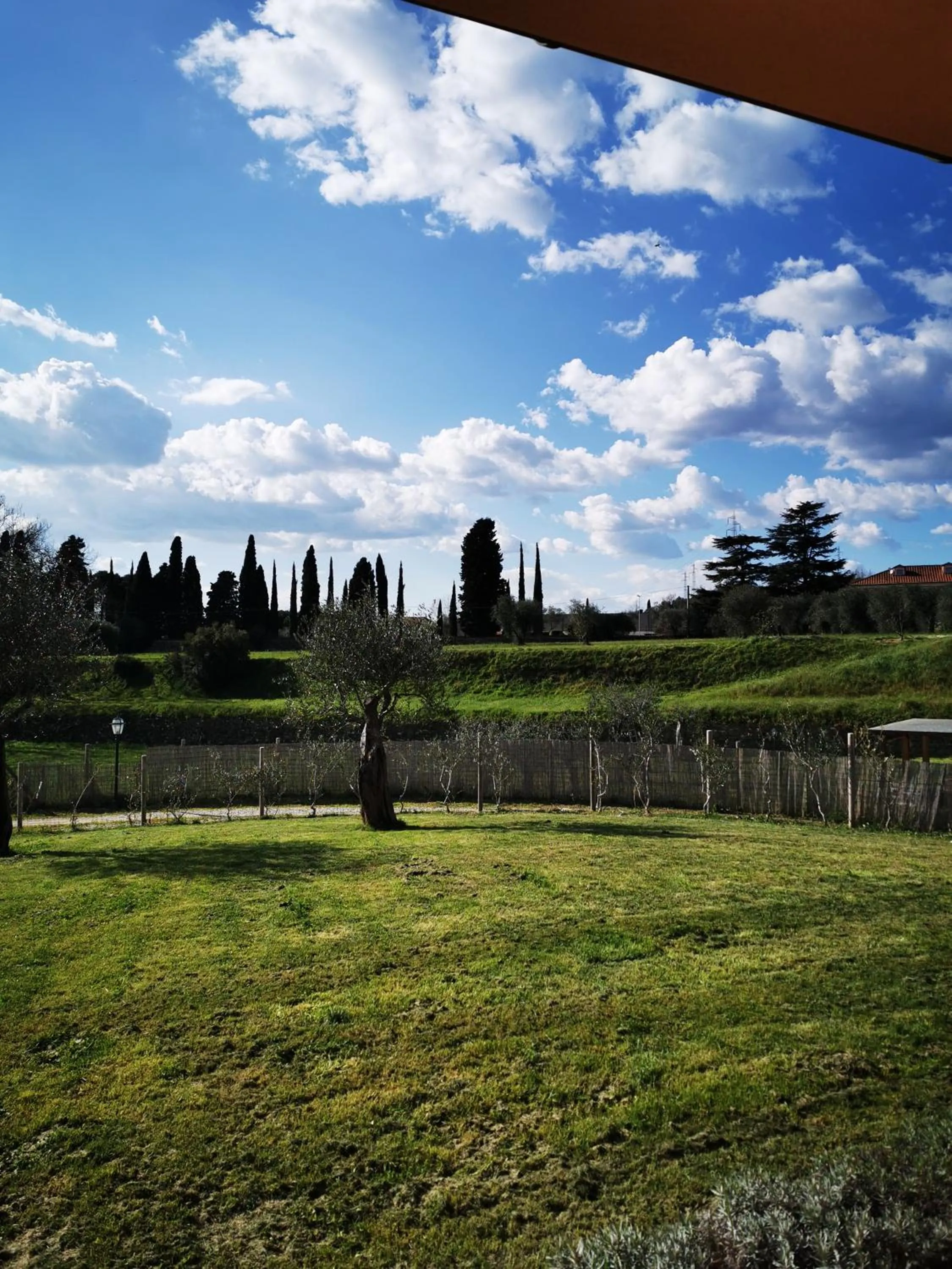 Garden in B&B Luna Nuova