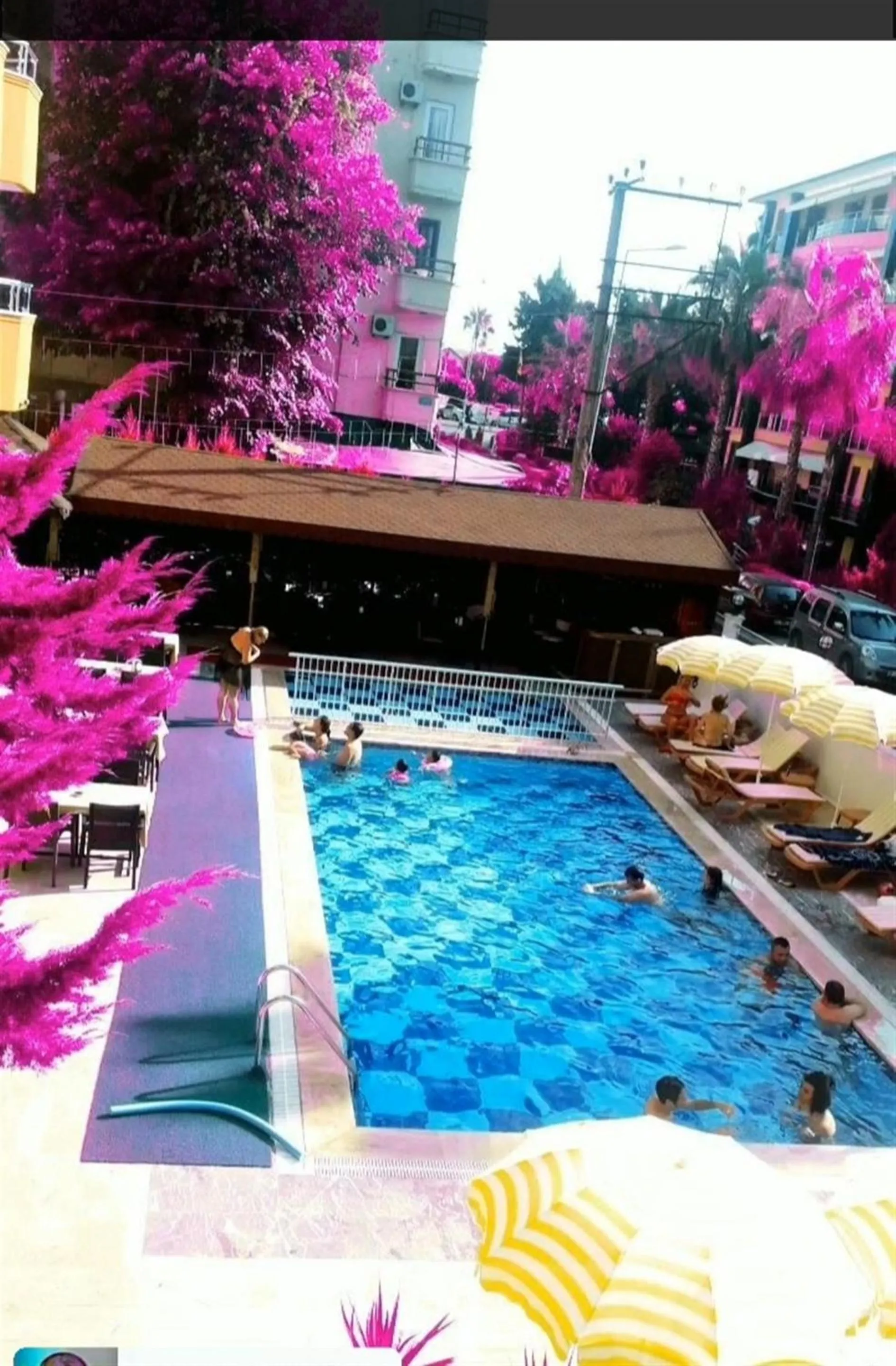 Pool view in Yaman Life Hotel