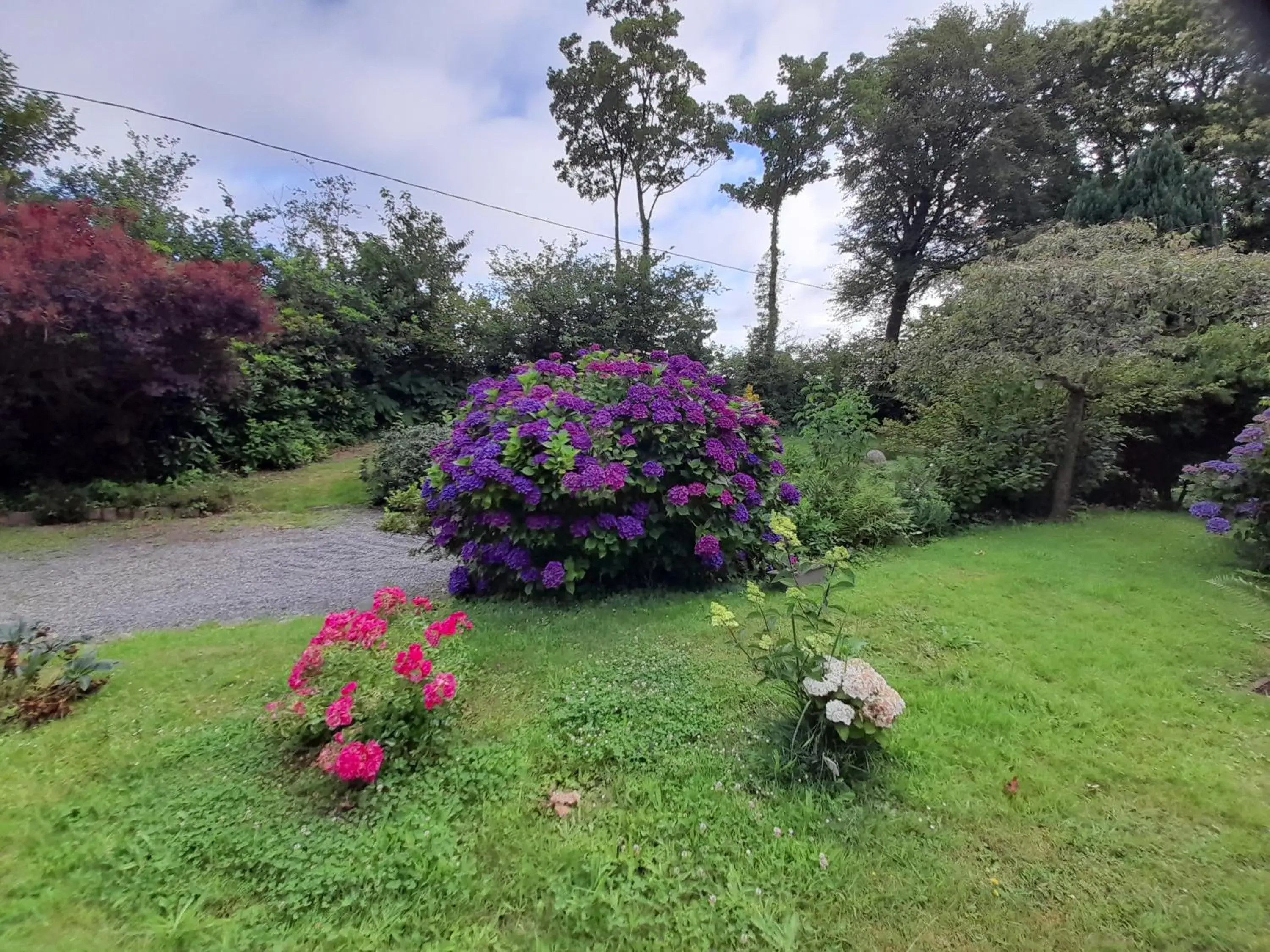 Double Room with Private External Toilet (Philippe) - single occupancy in Bed and Breakfast Saultchevreuil, au Mont Saint Michel Double Room with Private External Toilet (Philippe) - single occupancy in Bed and Breakfast Saultchevreuil, au Mont Saint Michel
