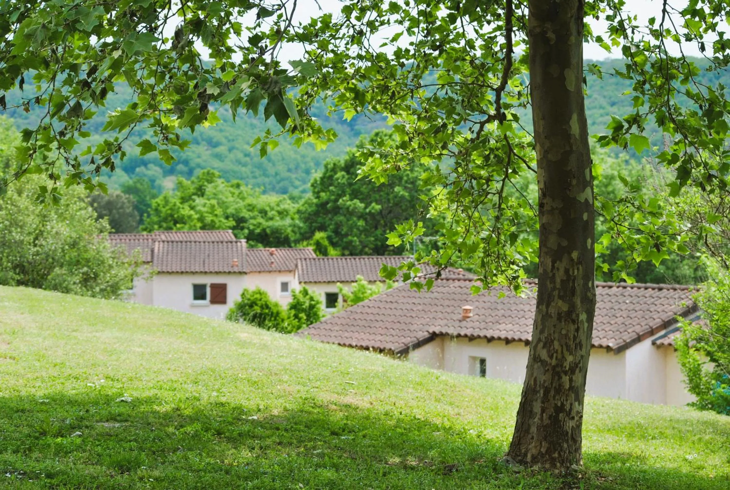 View (from property/room) in Le Domaine des Cazelles by Ateya Vacances