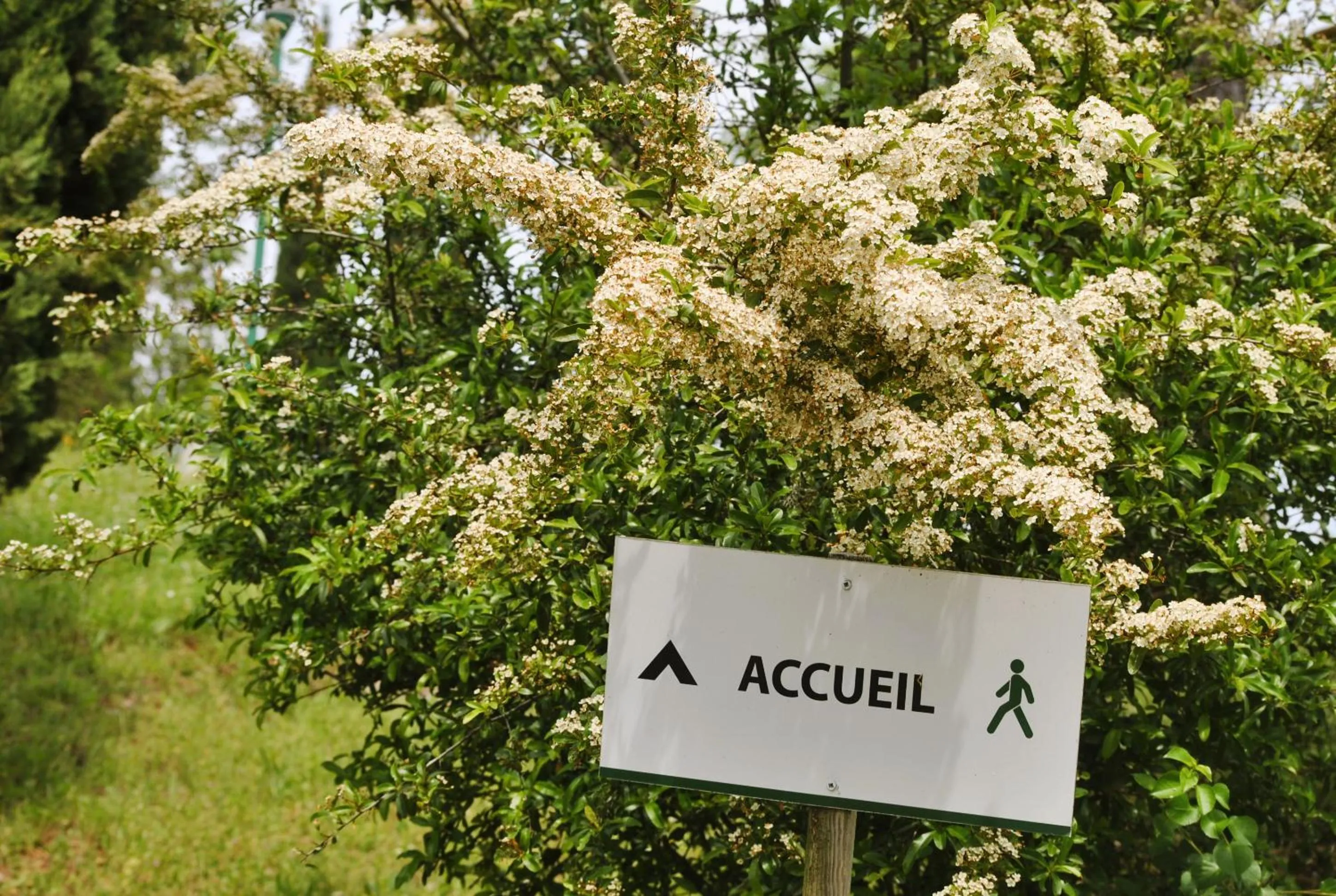 Property building in Le Domaine des Cazelles by Ateya Vacances