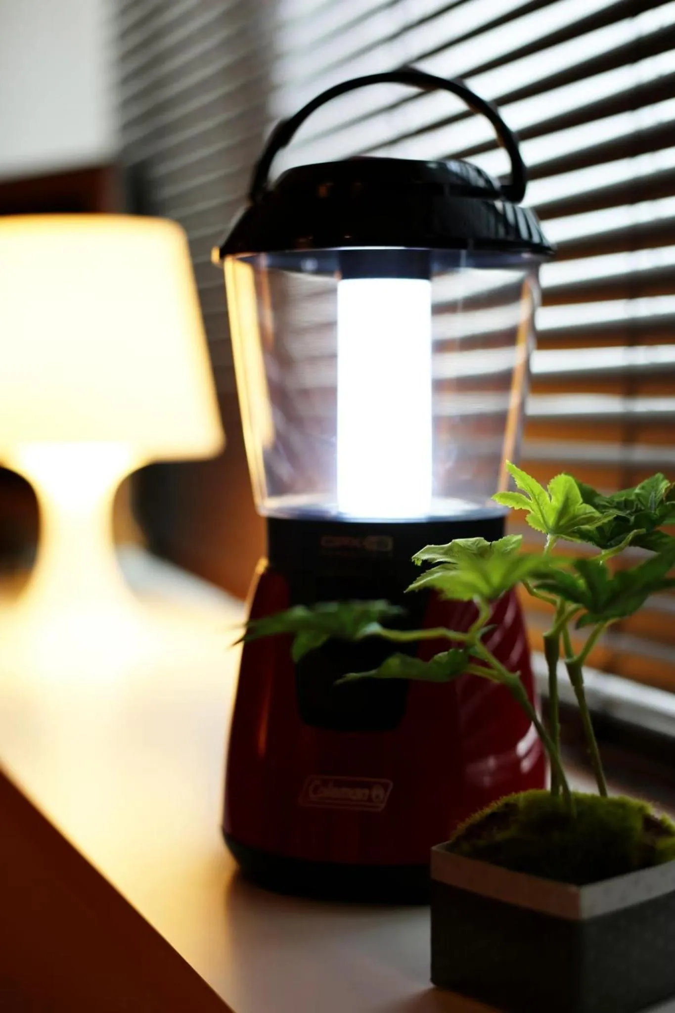 Lions Mansion Dogenzaka 207