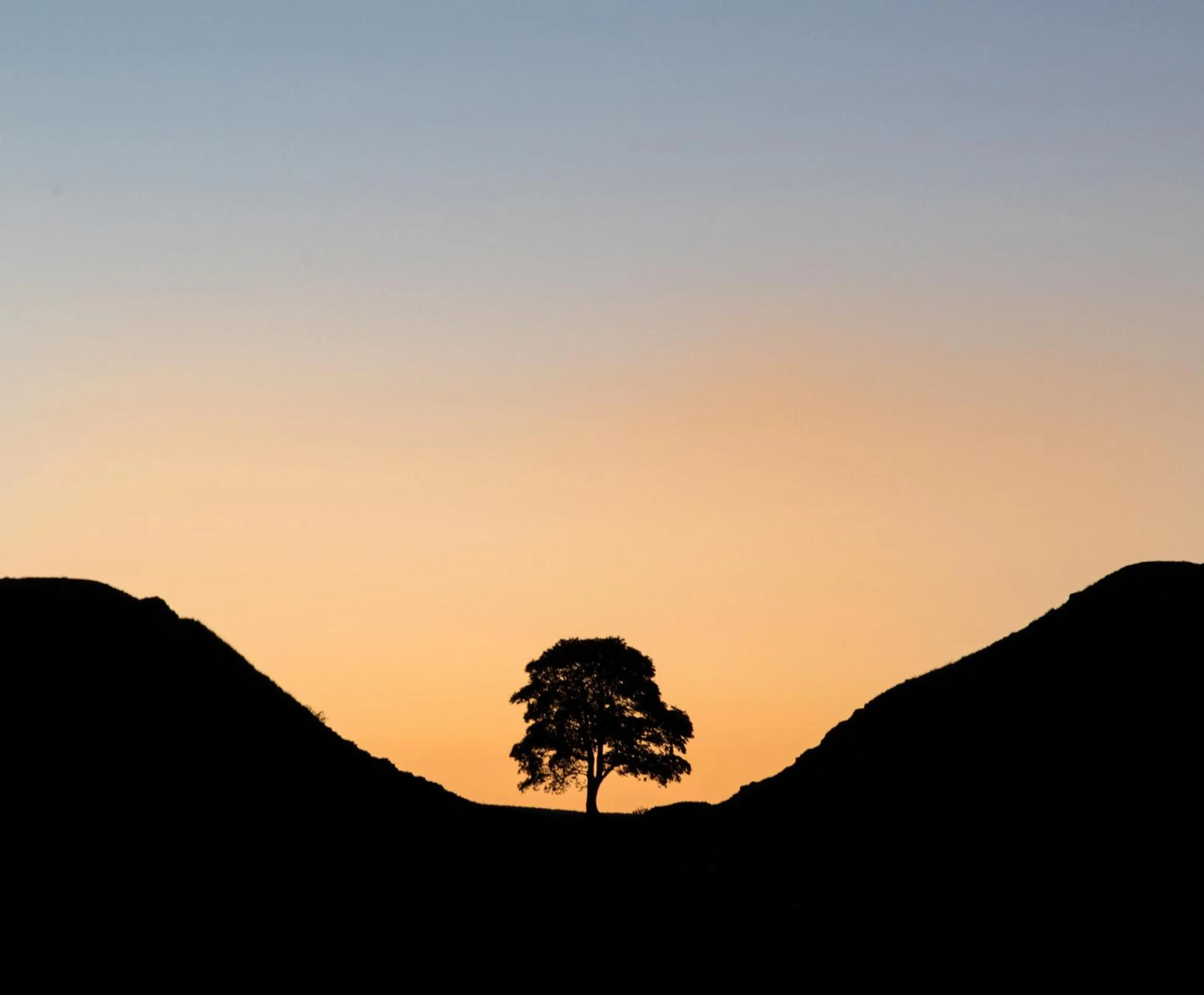 Neighbourhood in Wydon Farm Bed and Breakfast