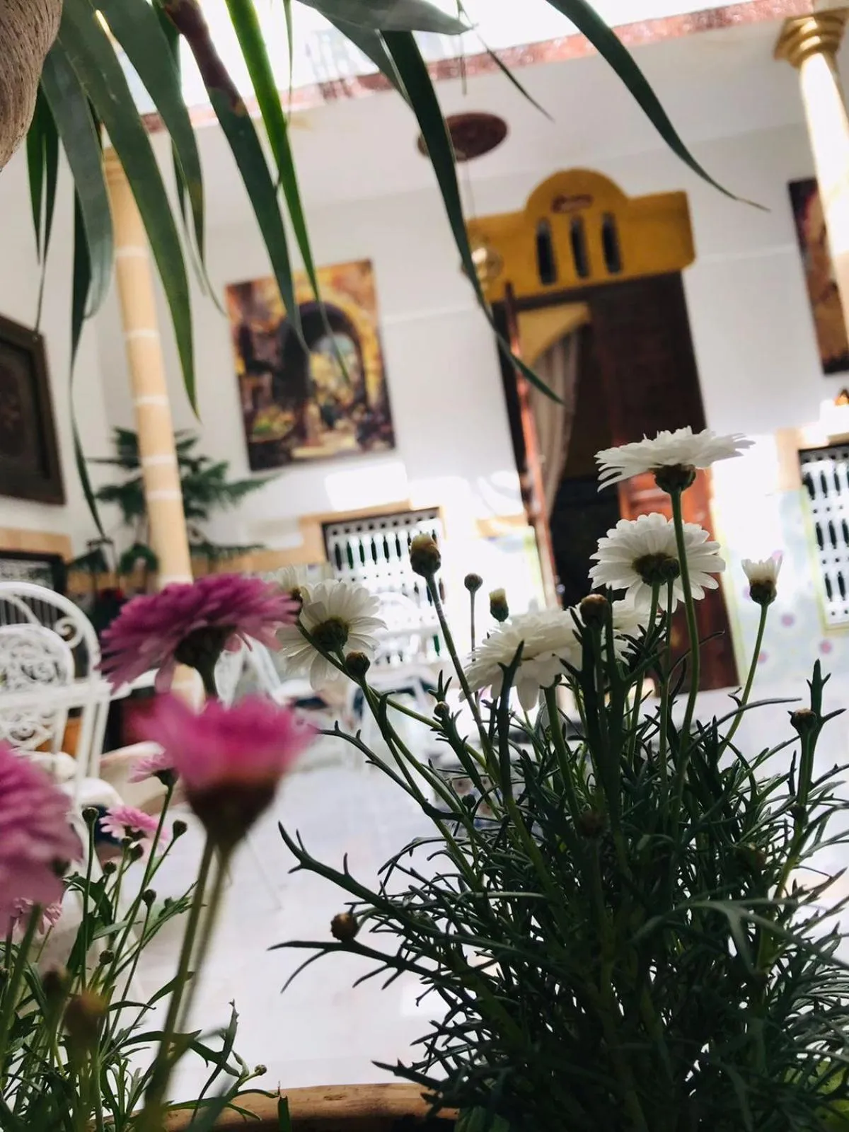 RIAD ESMERALDA By Dar Ouezzani