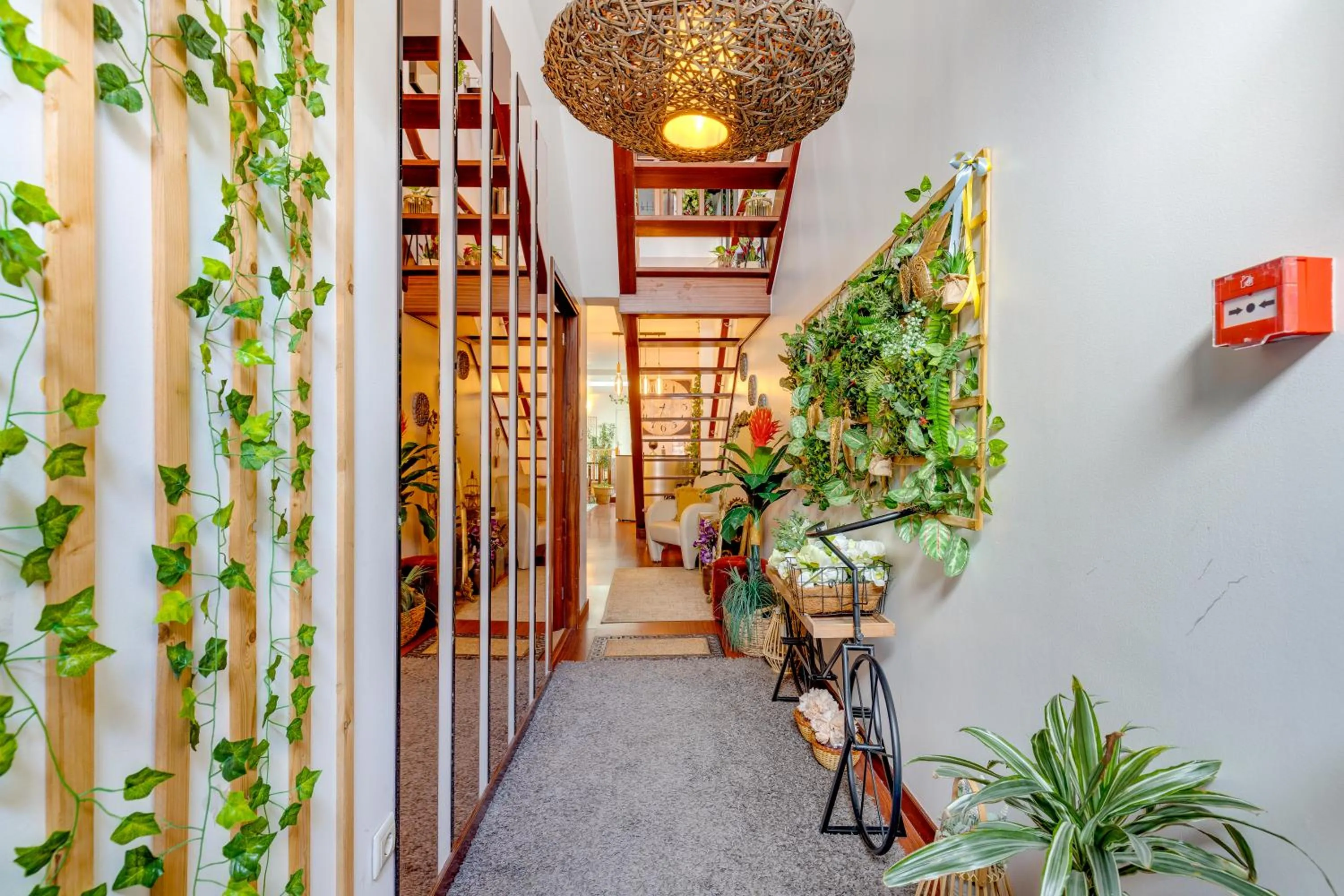 Garden in Town Hostel