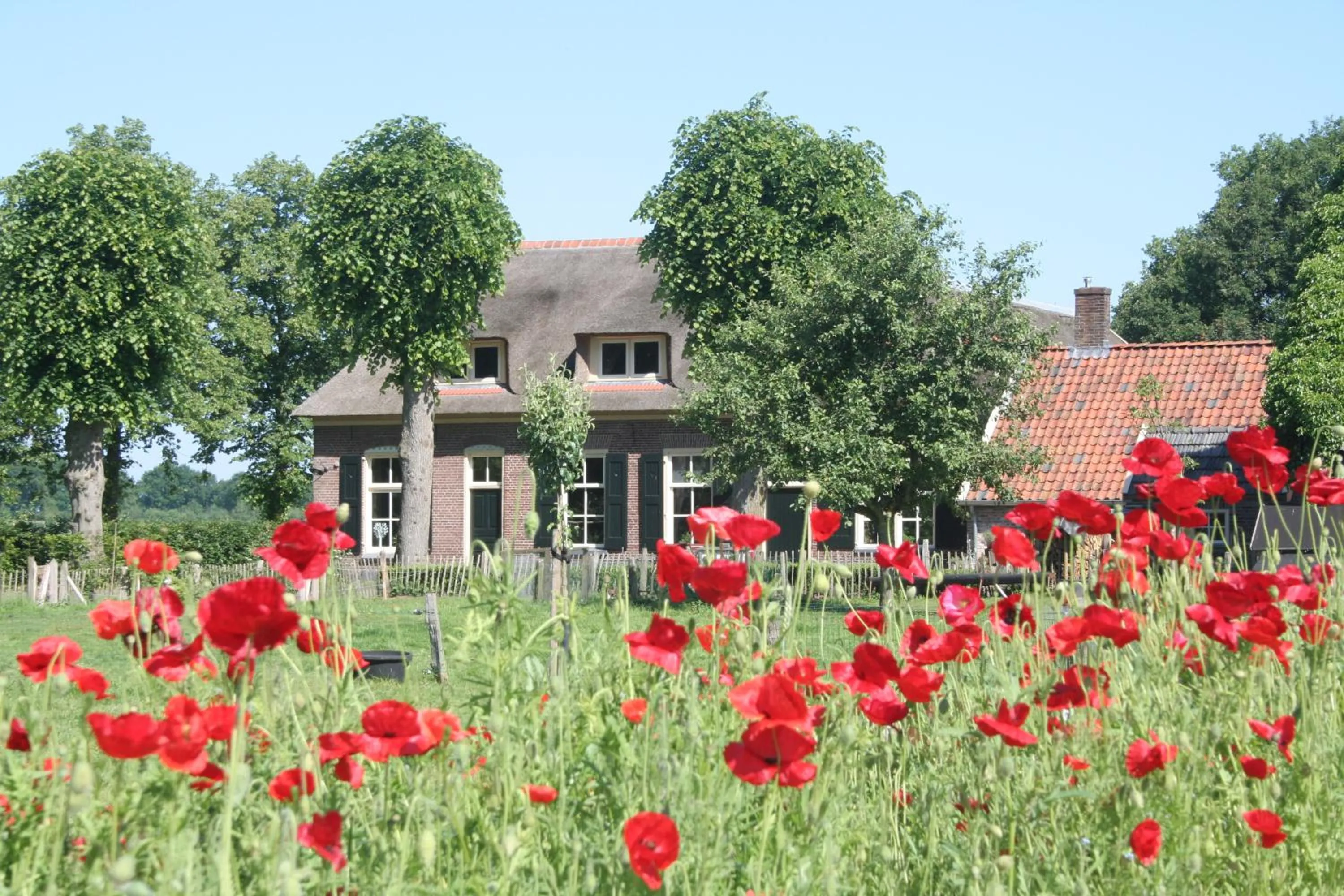 Property building in Het Spijkerhuys