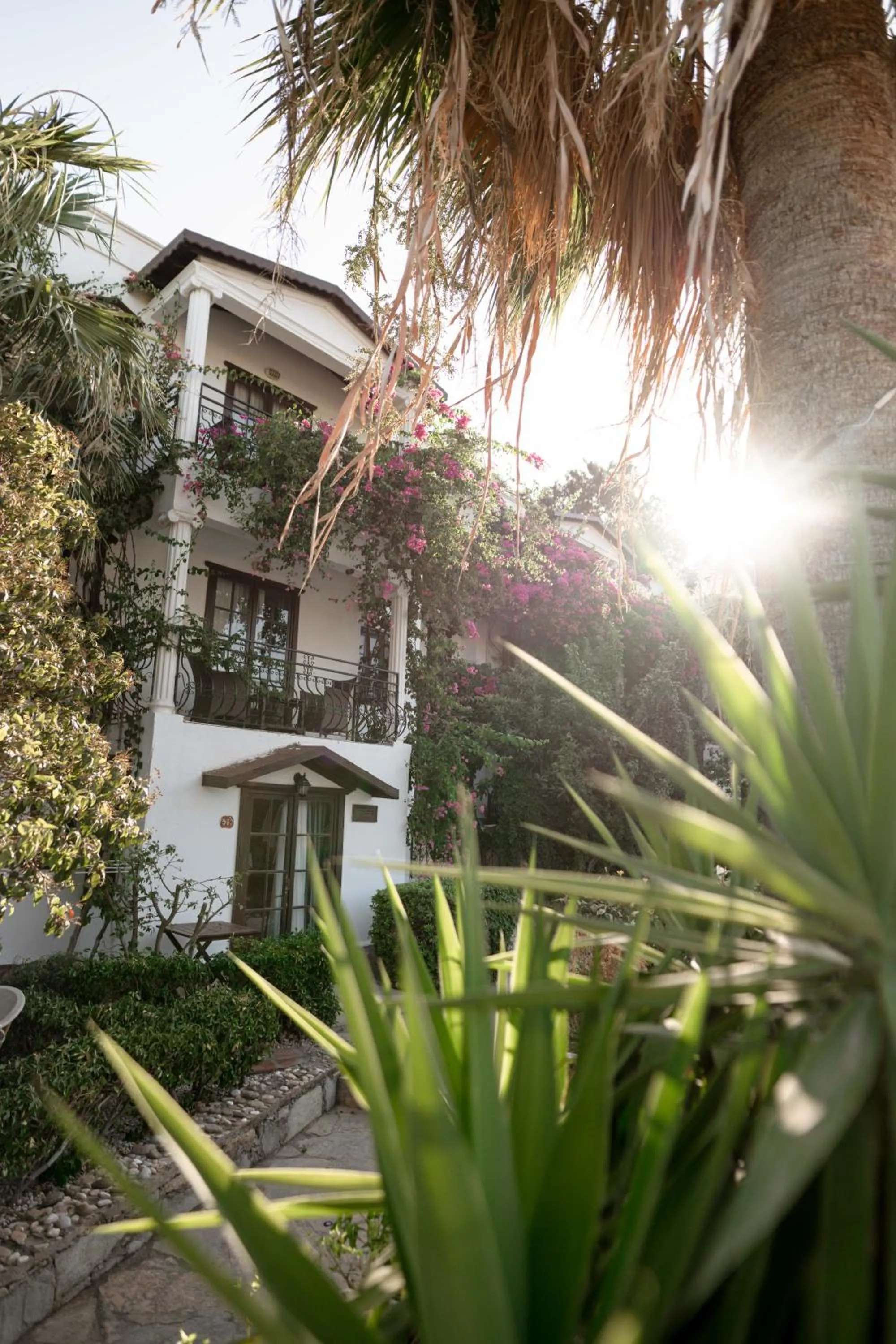 Property building in Mare Garden Hotel