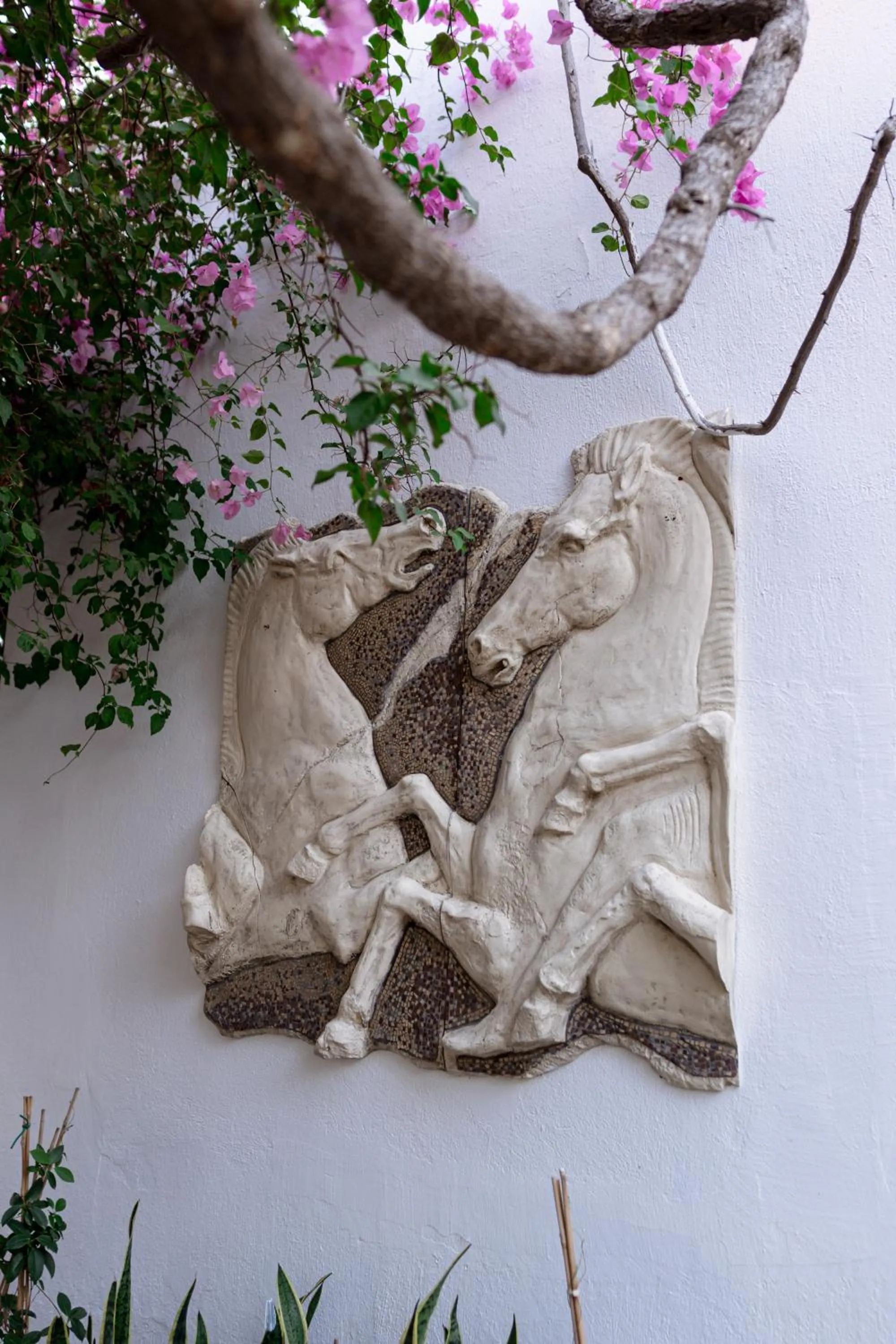 Property building in Mare Garden Hotel