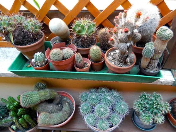 Other in Abitazione Pigneto B&B