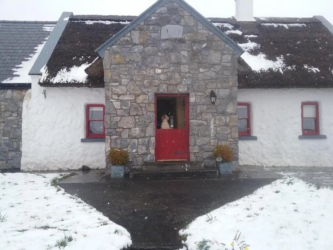 Facade/entrance in The Thatched Cottage B&B