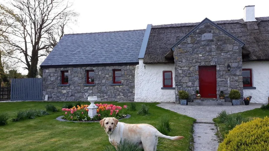 Property building in The Thatched Cottage B&B