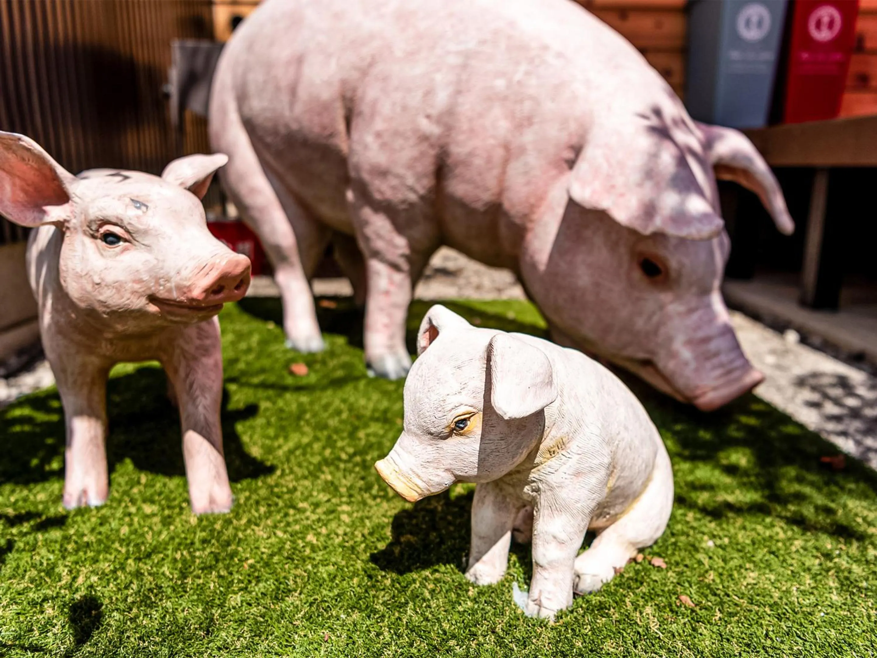 Other in Kawaguchiko Villa FJ Resort