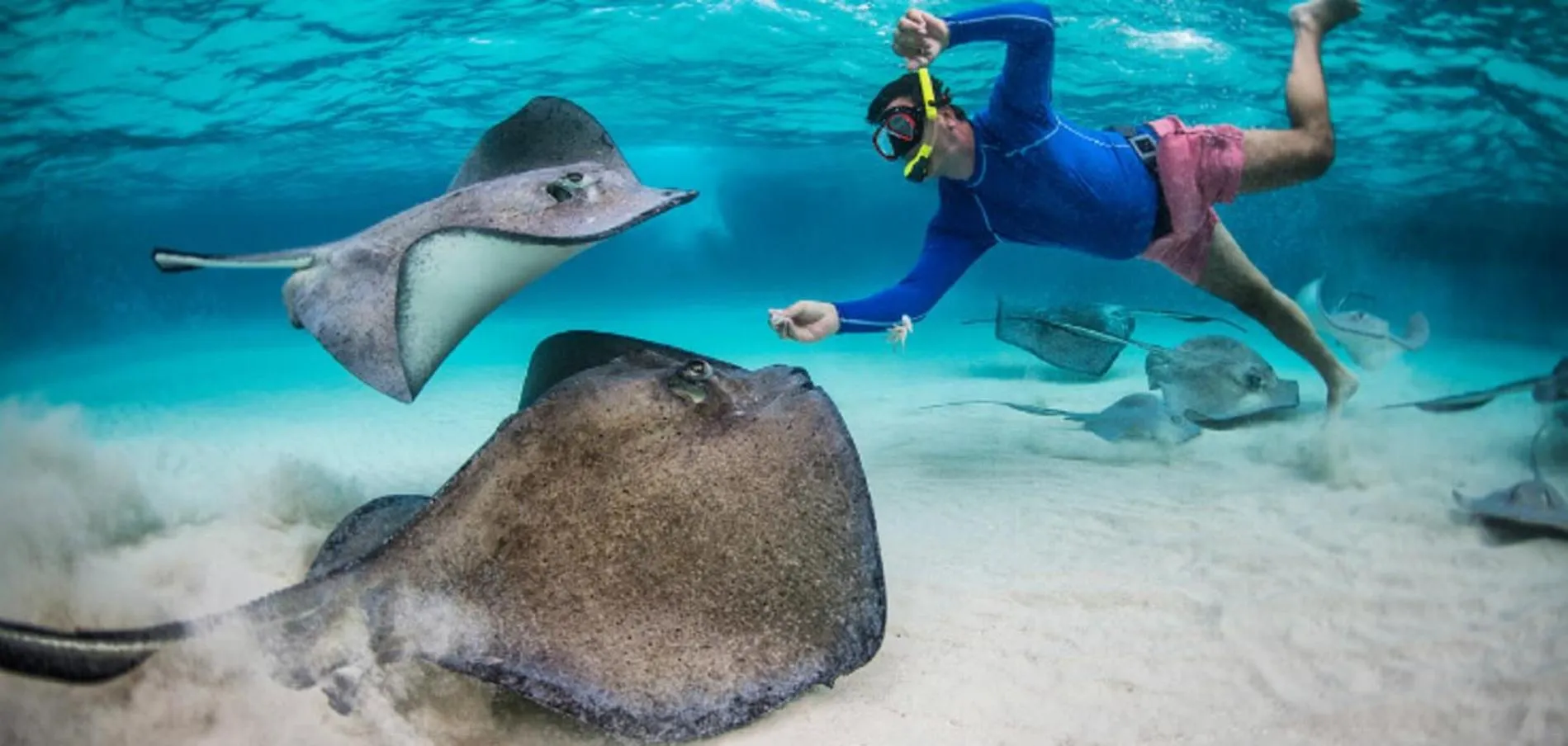 Snorkeling in Crown Beach Villas -Private Beach