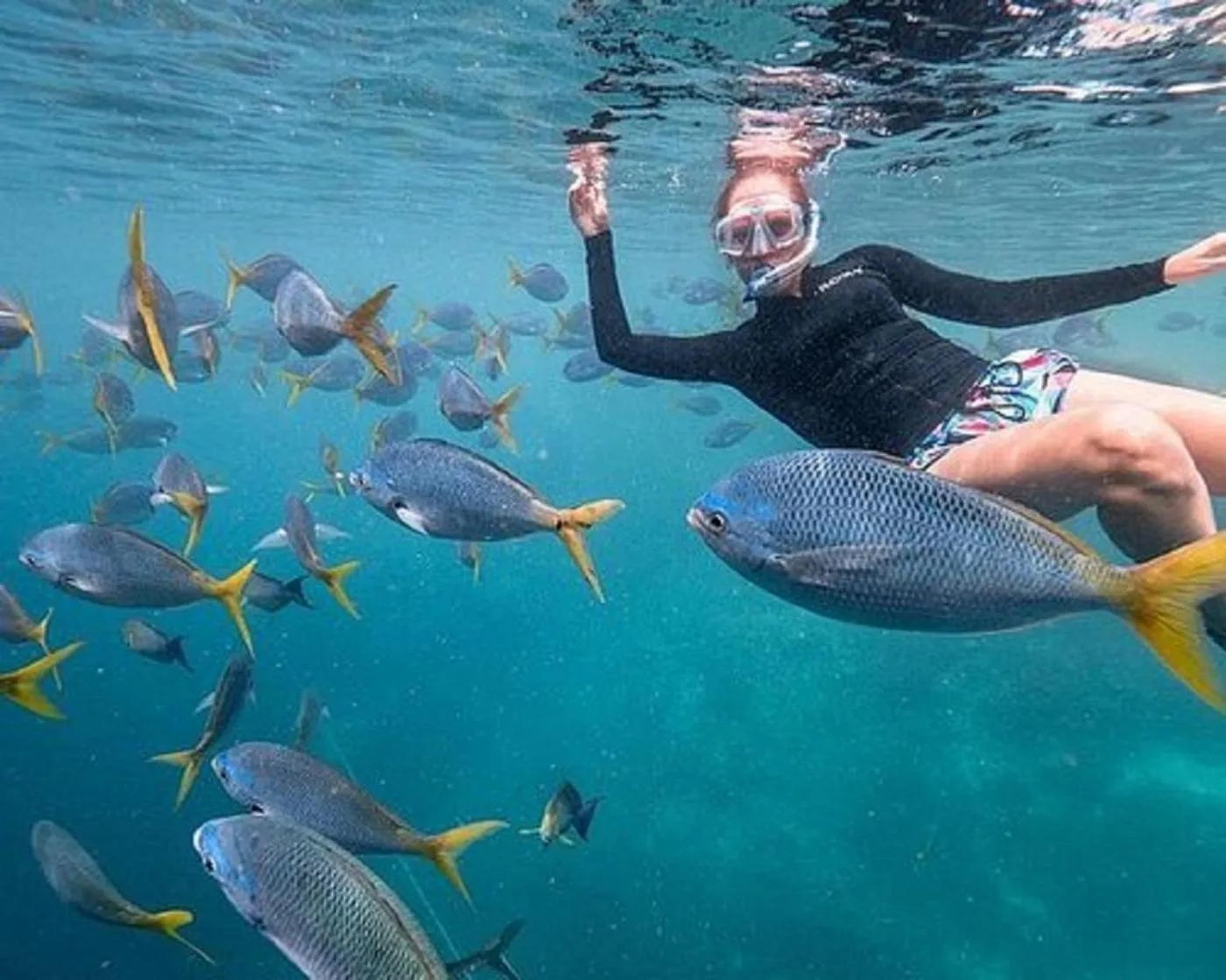 Snorkeling in Crown Beach Villas -Private Beach