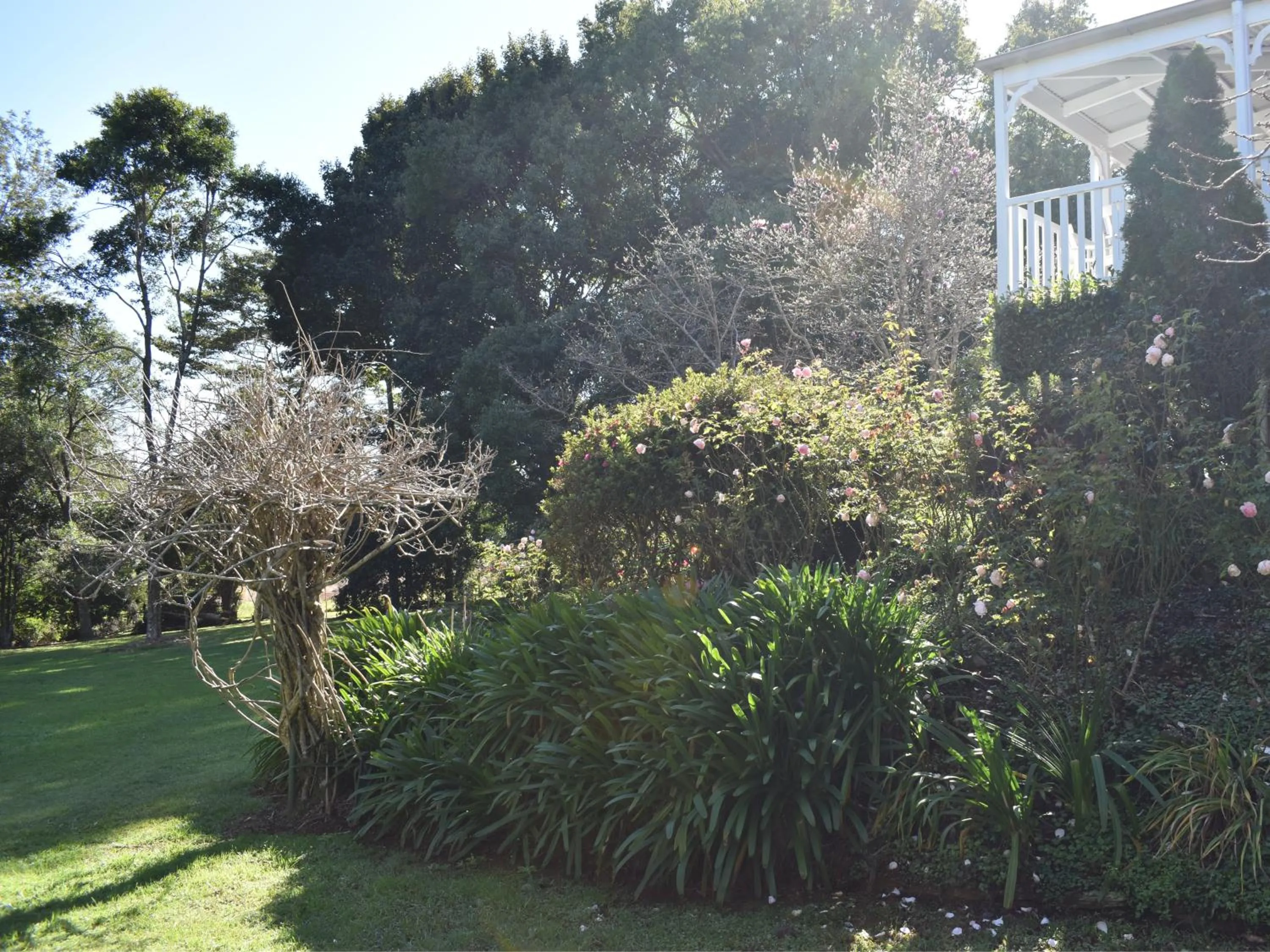 Garden in Maleny Homestead & Cottage