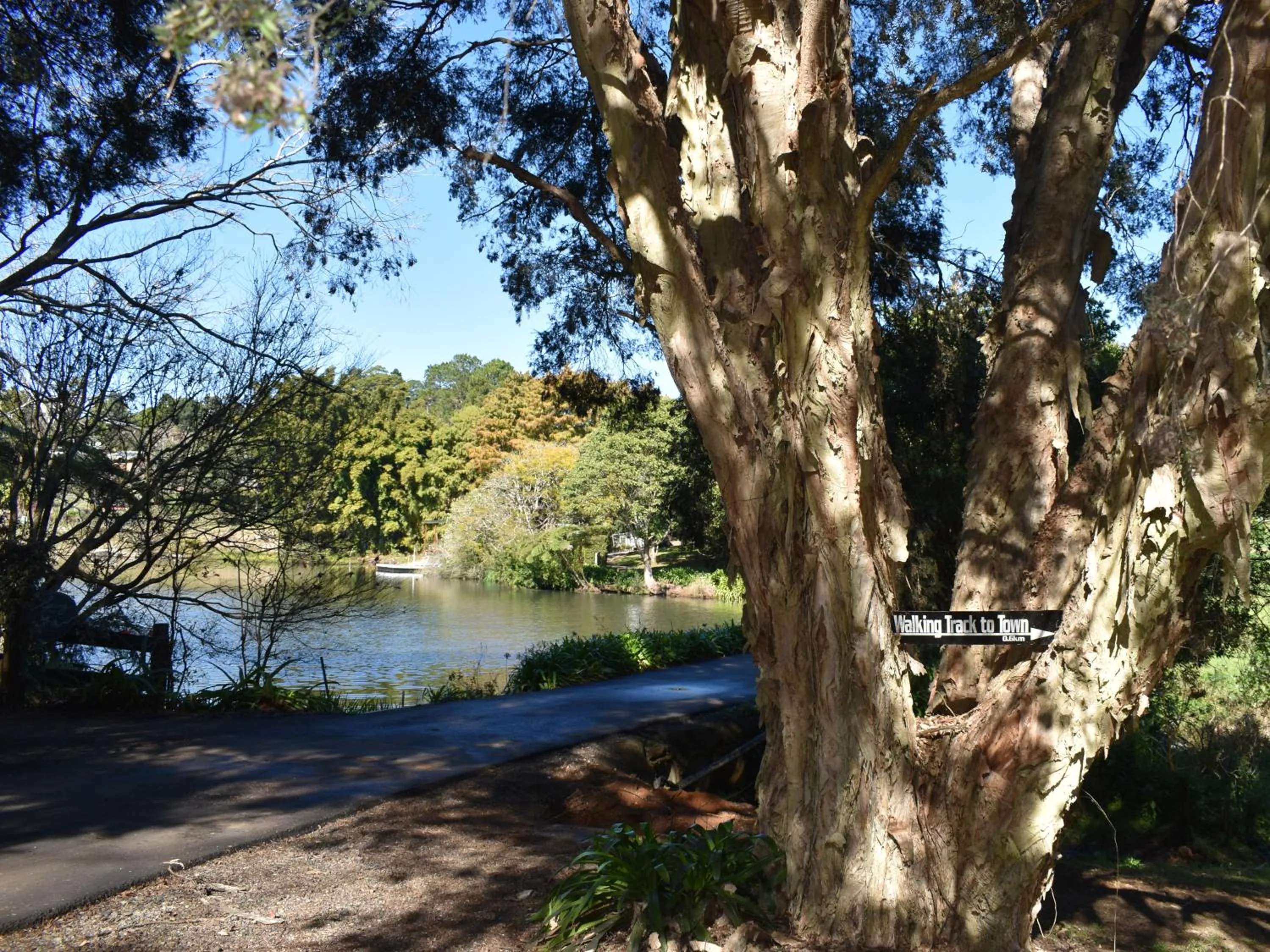 Garden in Maleny Homestead & Cottage