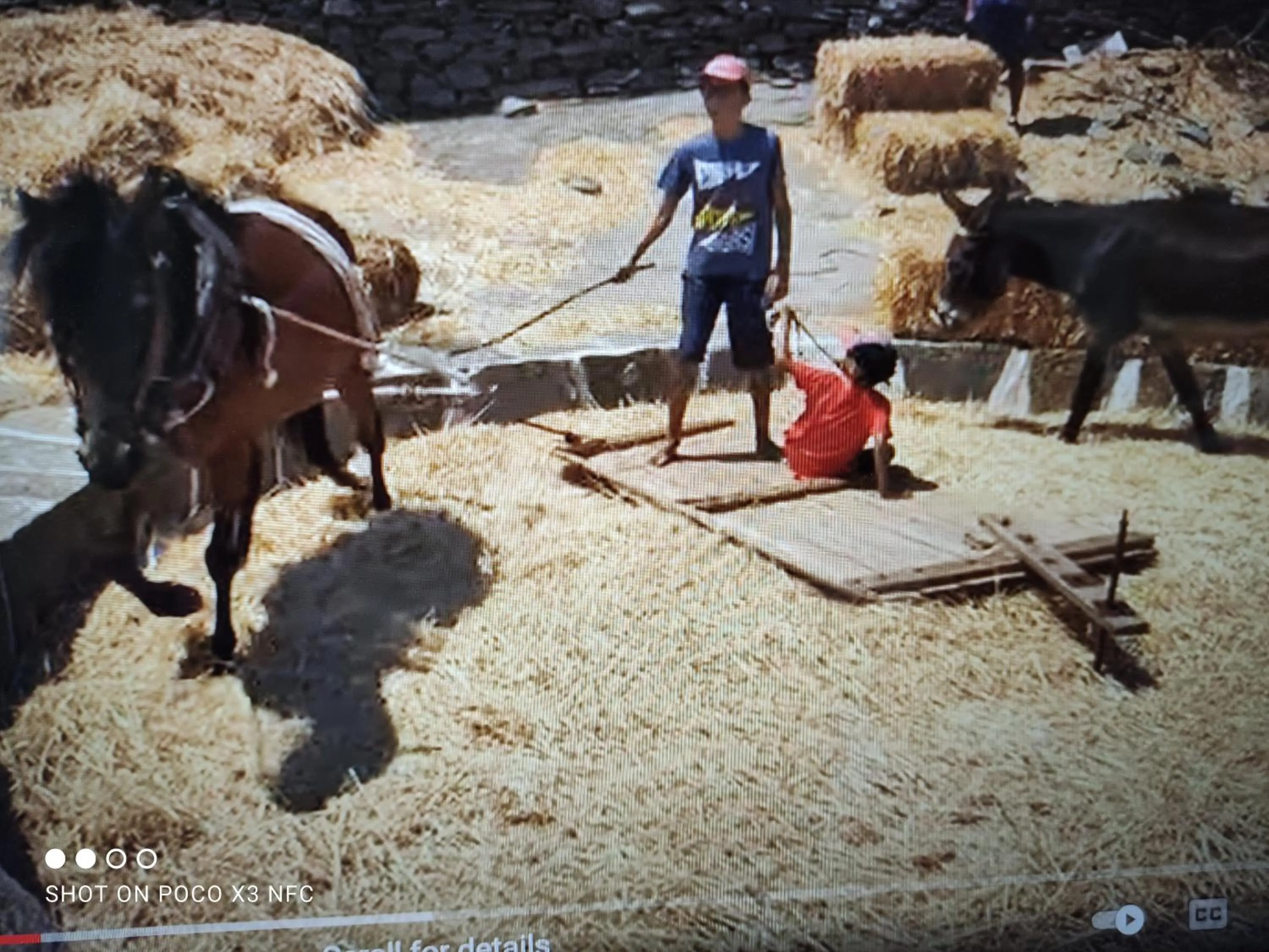 People in Kampos Home