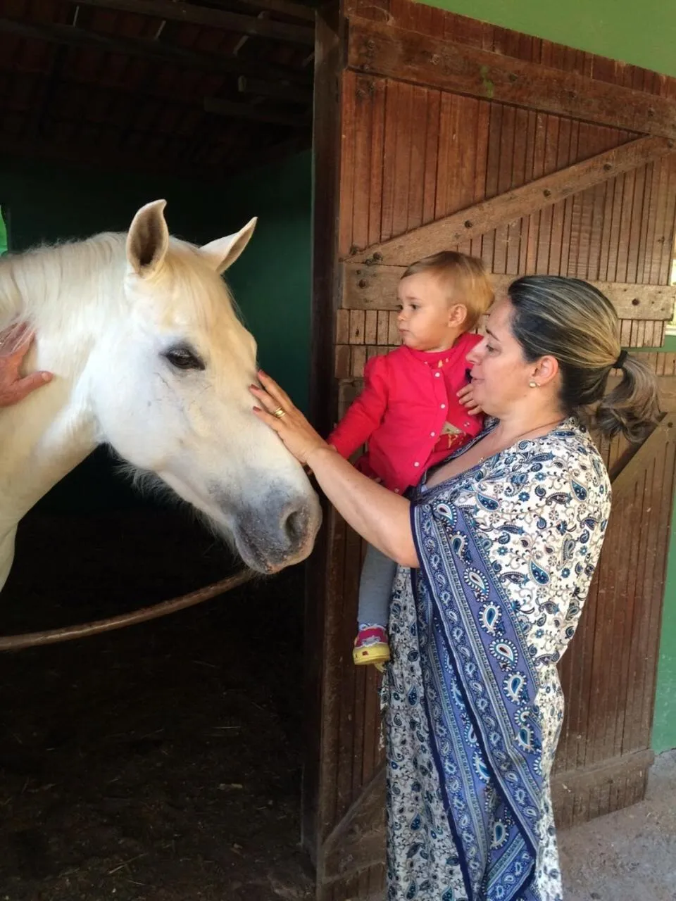 Animals in Hotel Fazenda Vale Amanhecer