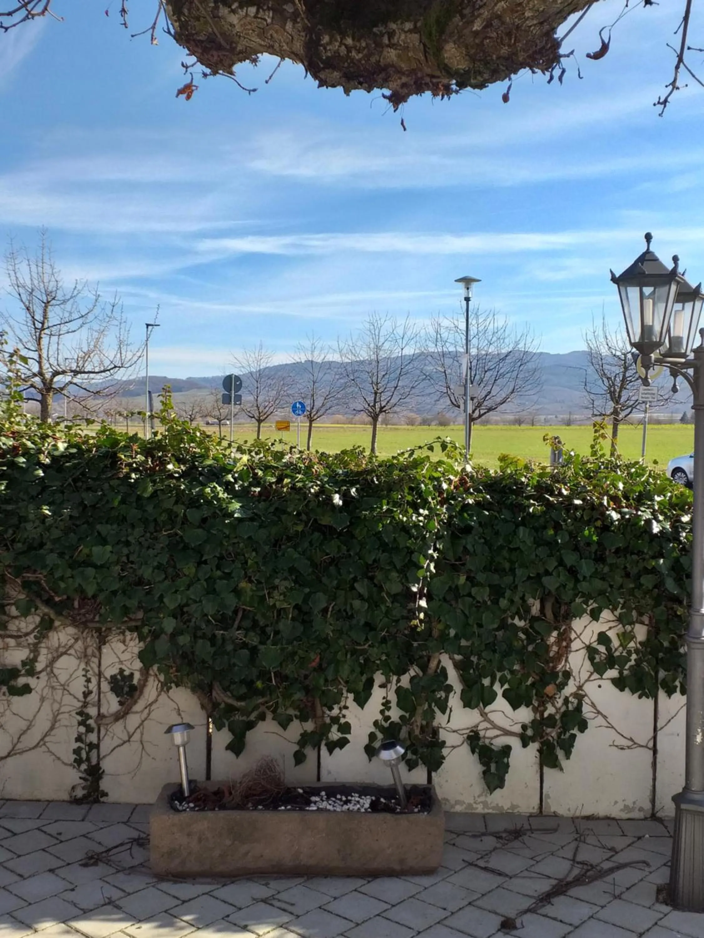 Natural landscape in Hotel Landgasthof Adler