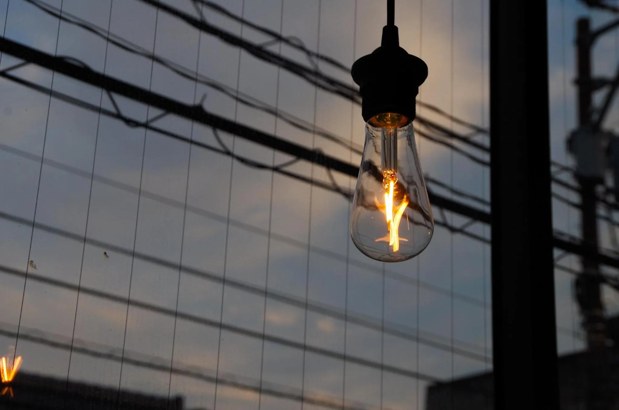 Travelers' house ROOTs