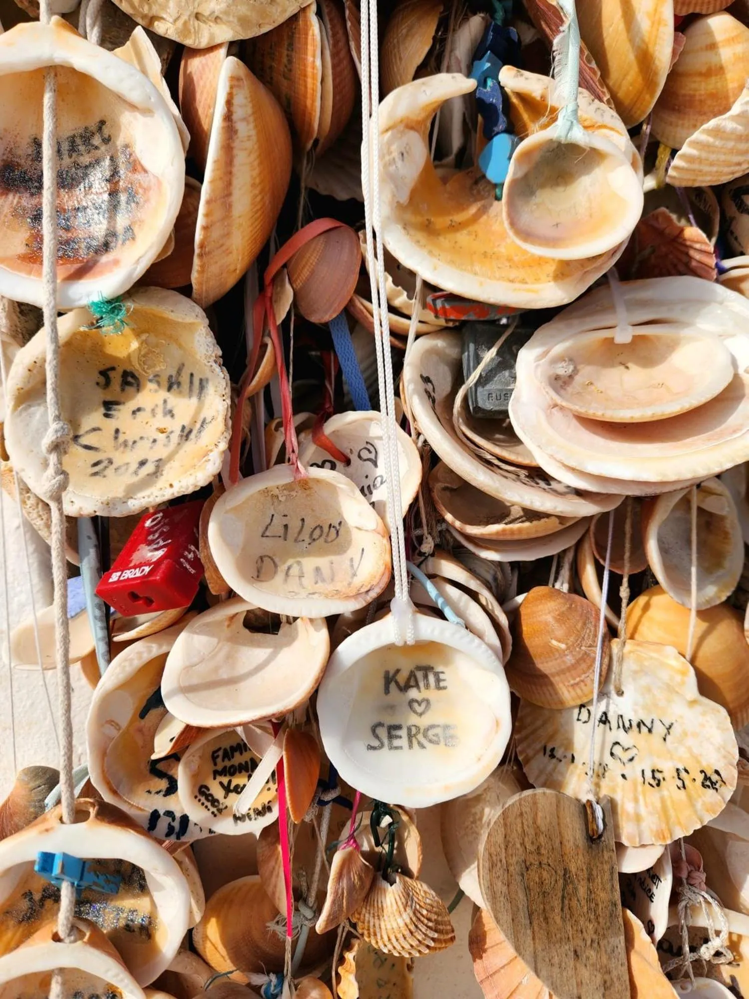 Area and facilities in B&B Quinta O Ninho